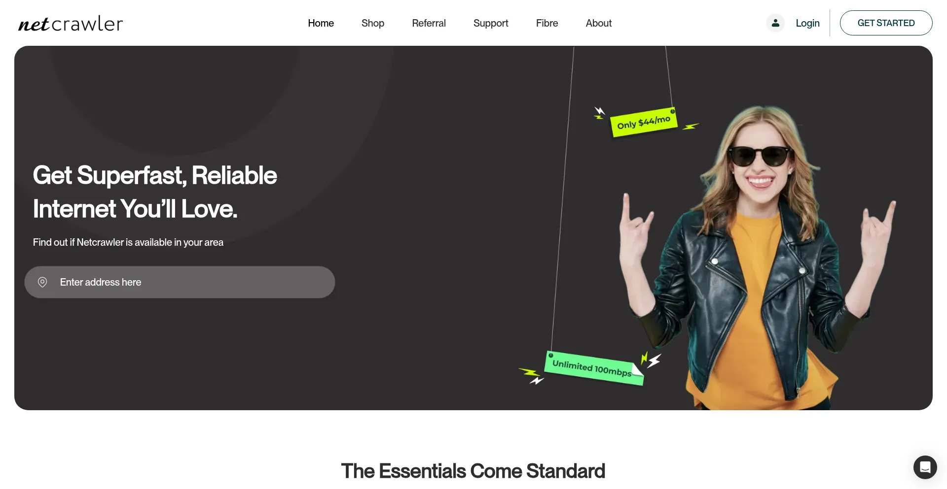 Website screenshot of Netcrawler.ca
