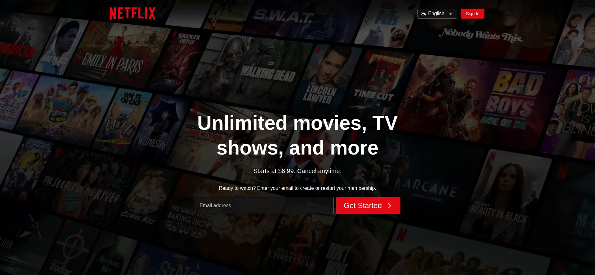 Website screenshot of Netflix.fr