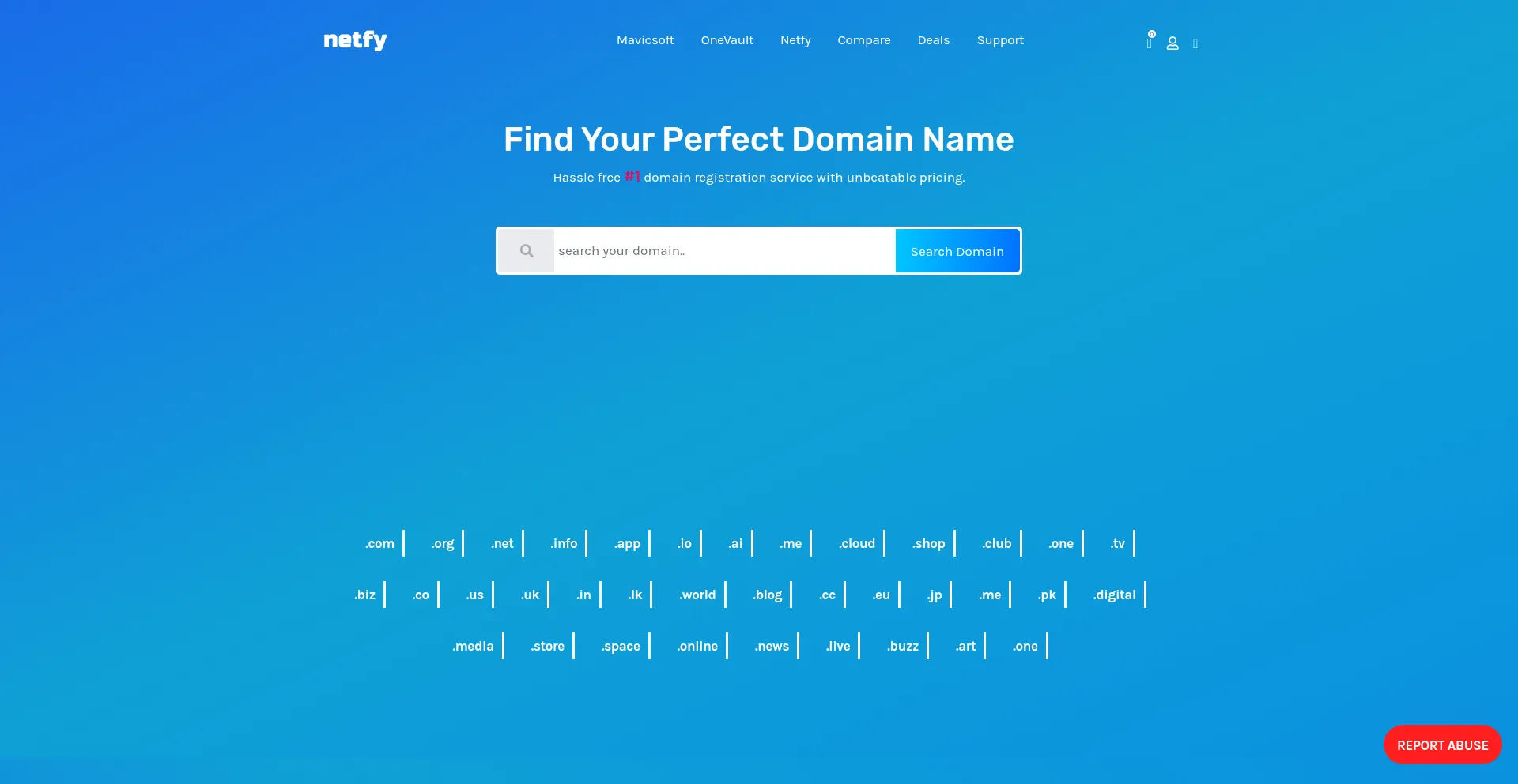 Website screenshot of Netfy.org