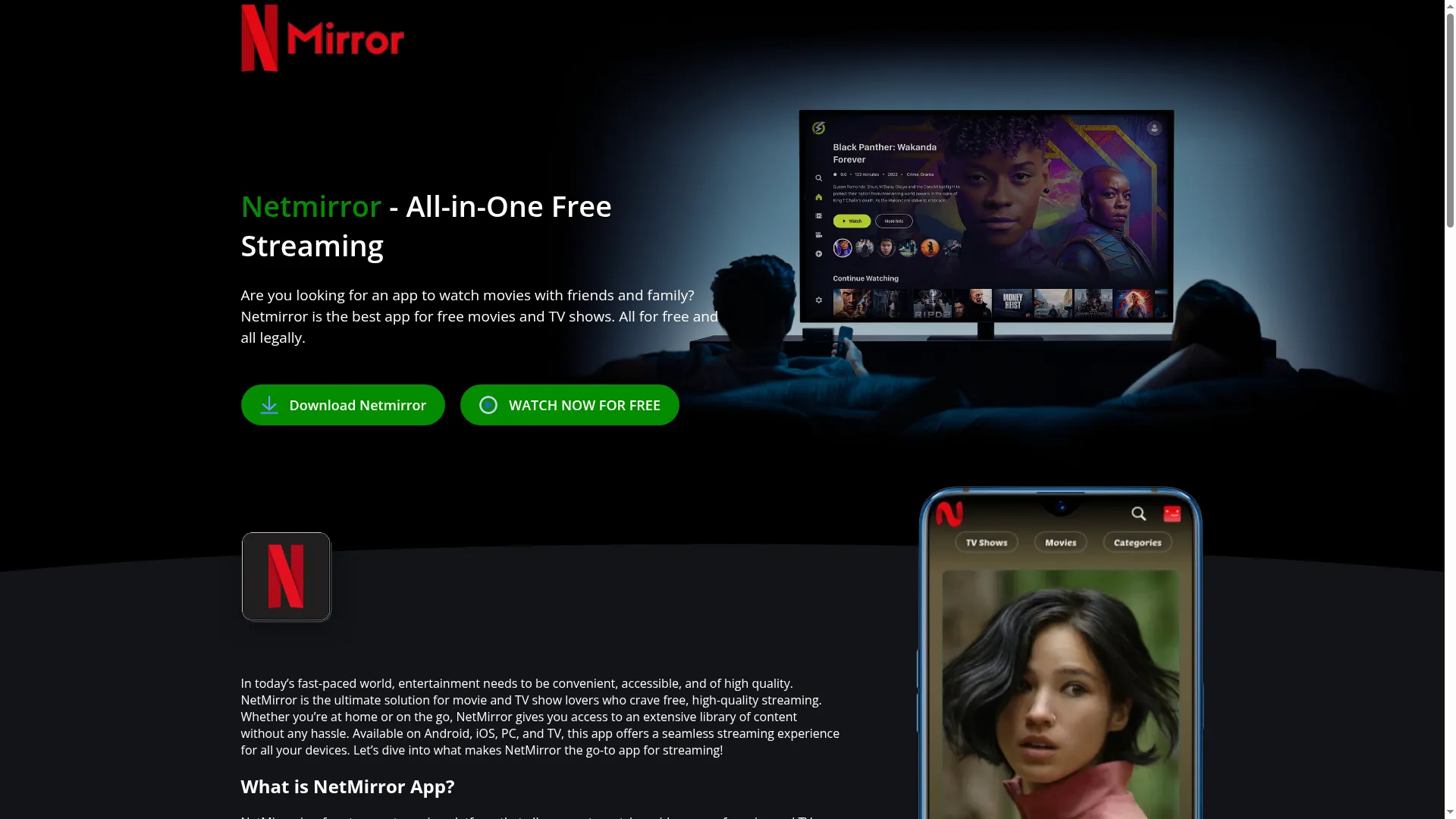 Netmirror.work