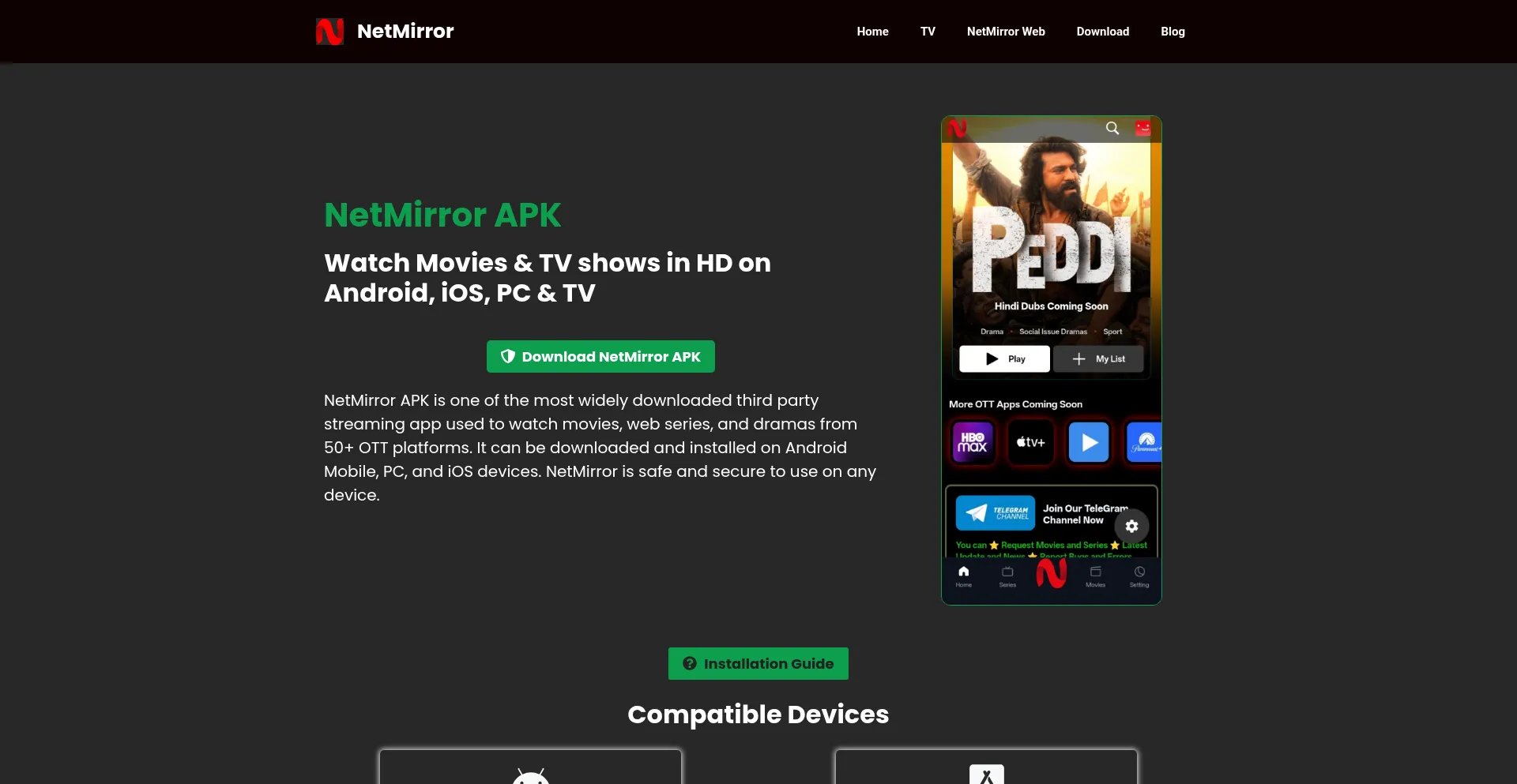 Netmirrorsapk.app