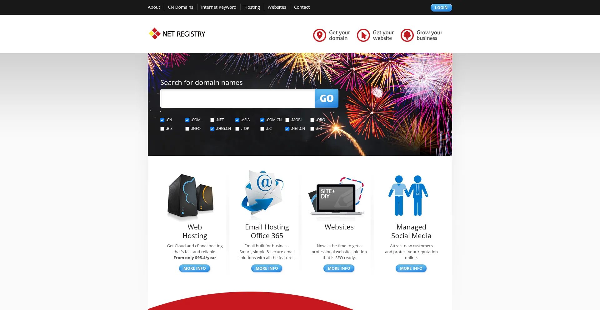 Website screenshot of Netname.com.cn