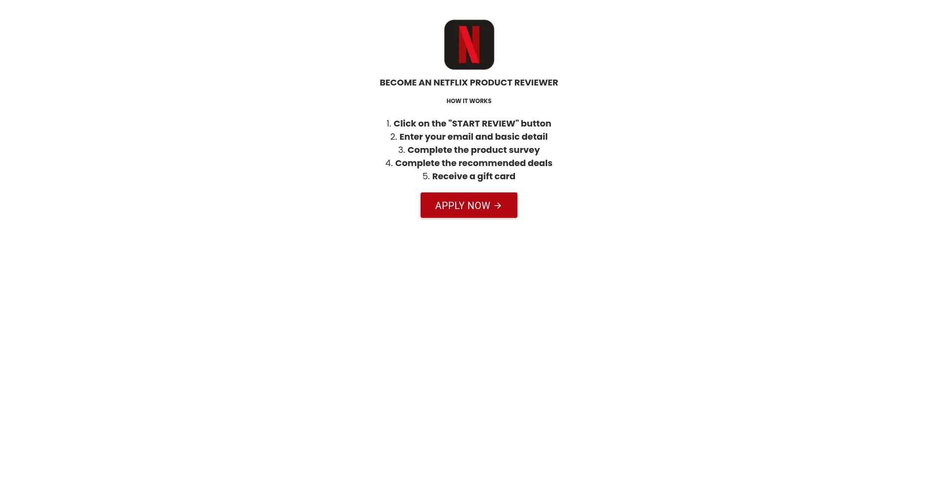 Website screenshot of Netreview.store