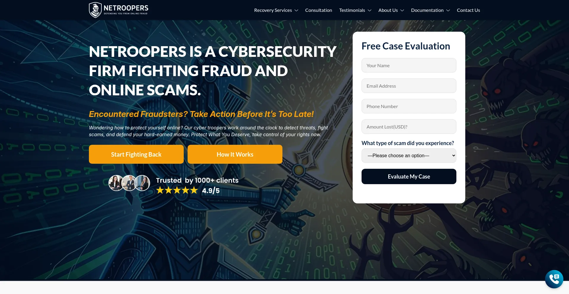 Website screenshot of Netroopers.com