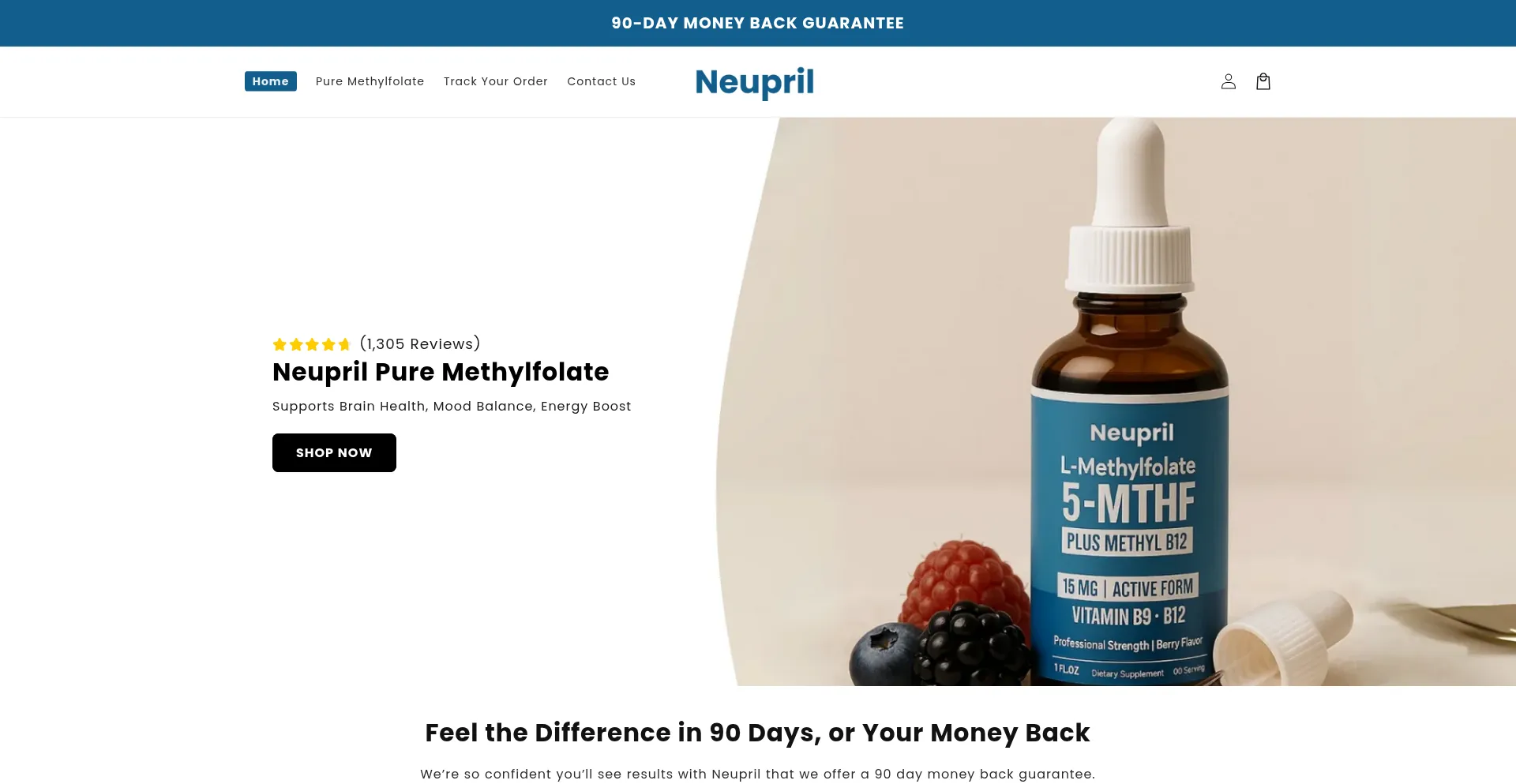 Website screenshot of Neupril.com