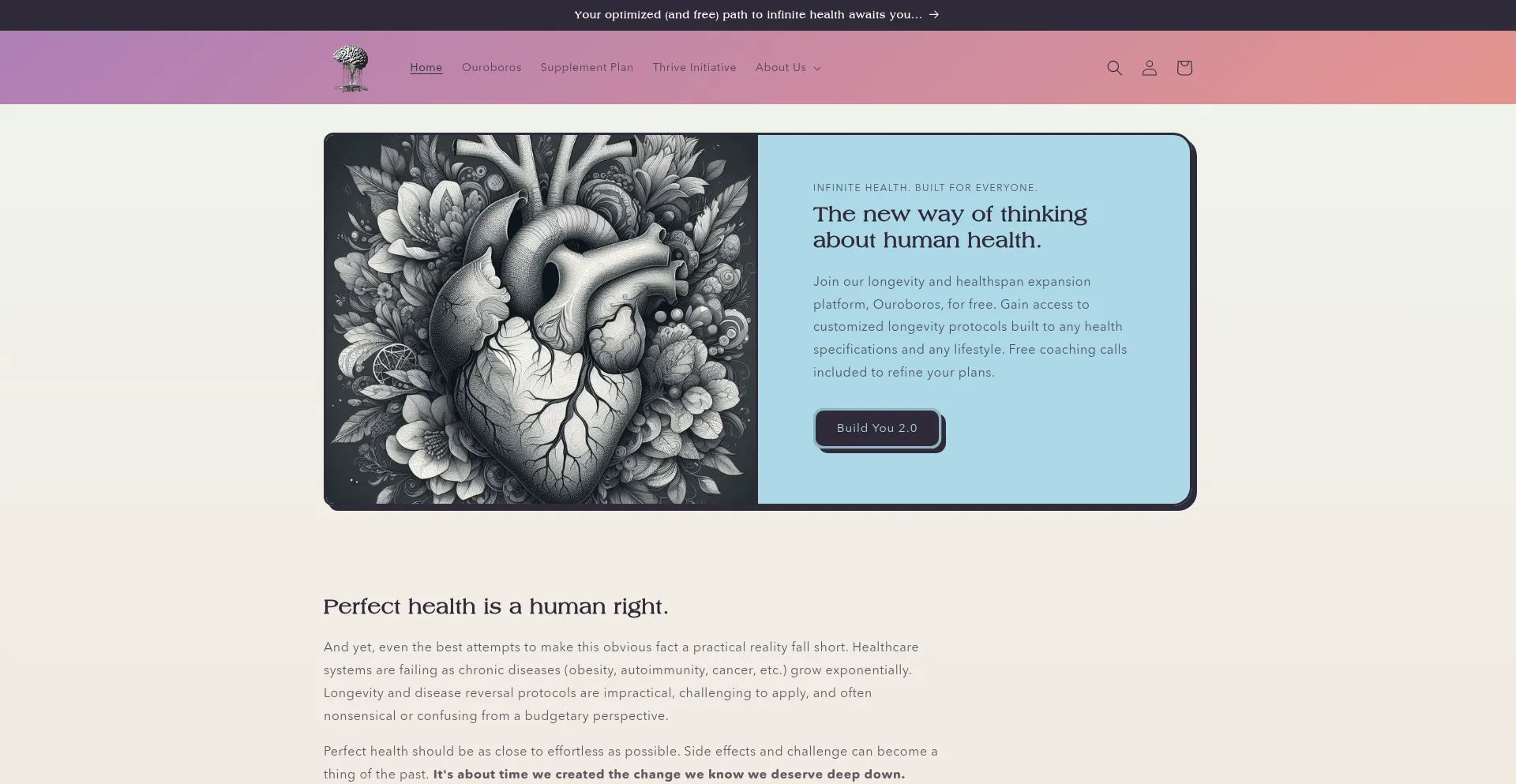 Website screenshot of Neuramod.com