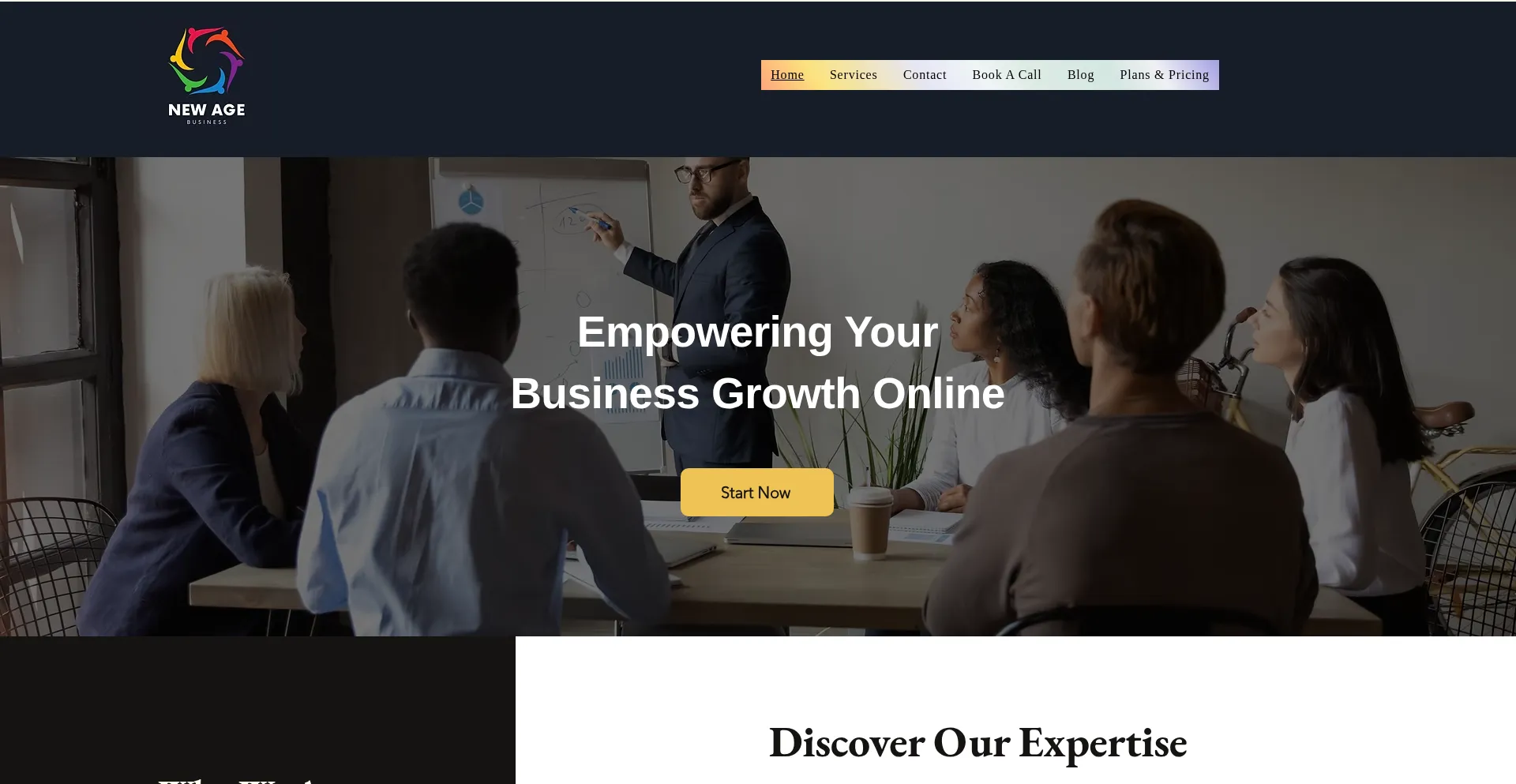 Website screenshot of Newagebiz.online