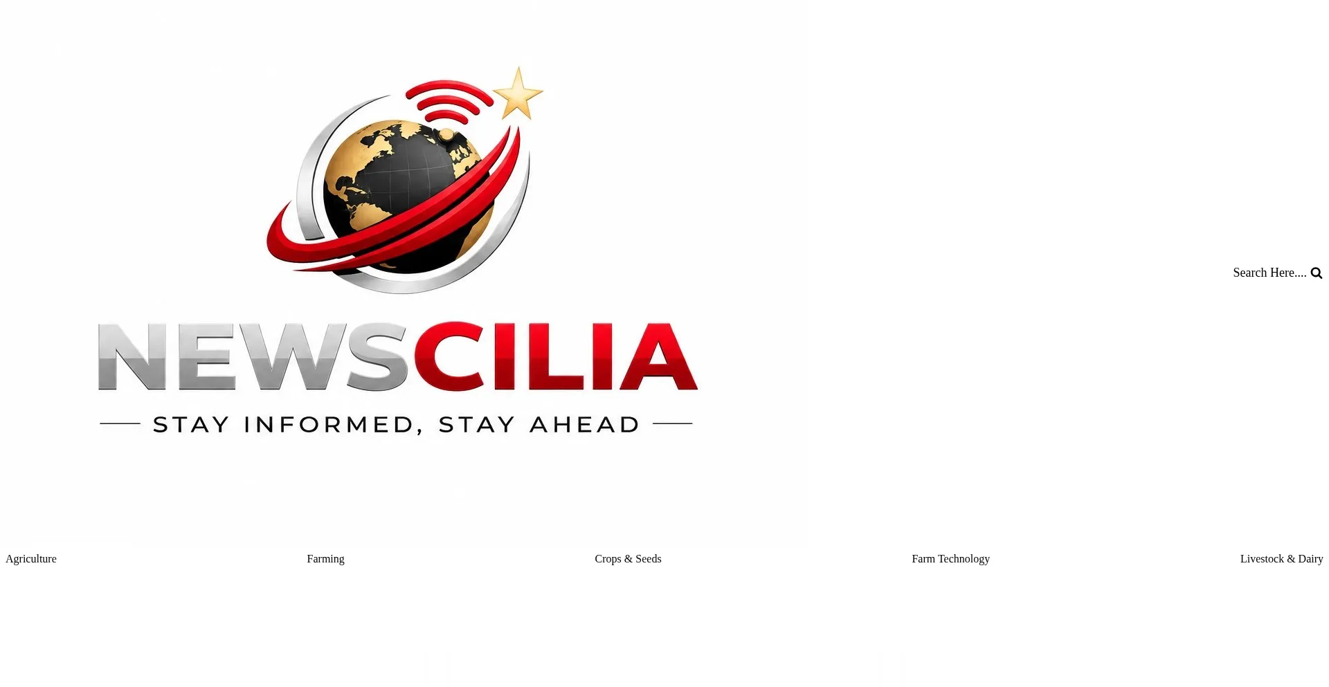 Newscilia.com