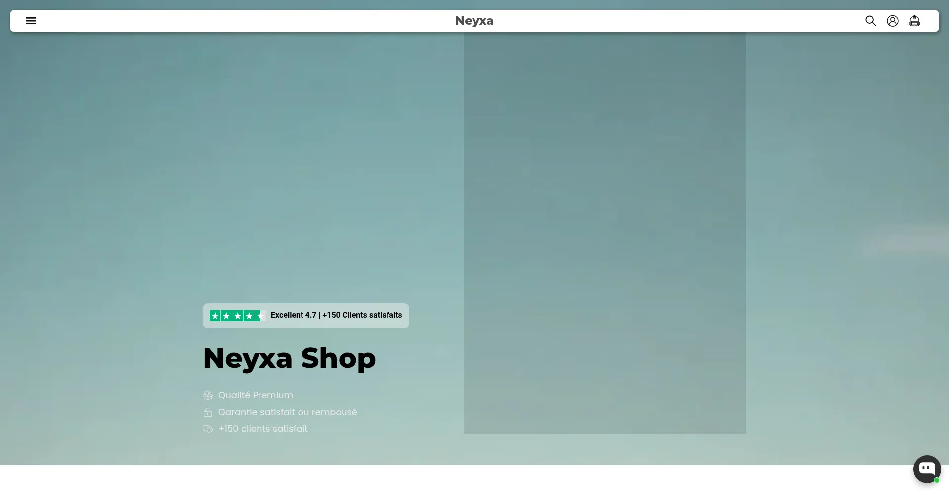 Website screenshot of Neyxa.com
