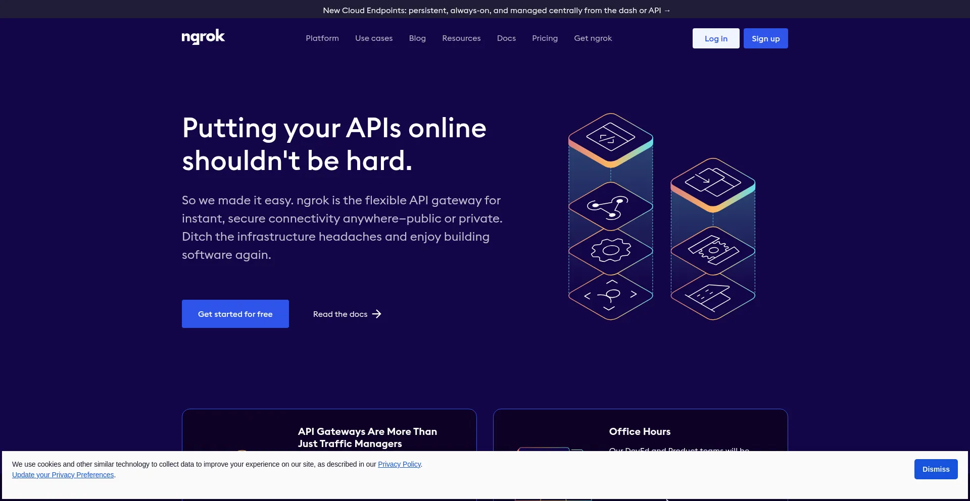 Website screenshot of Ngrok-free.app