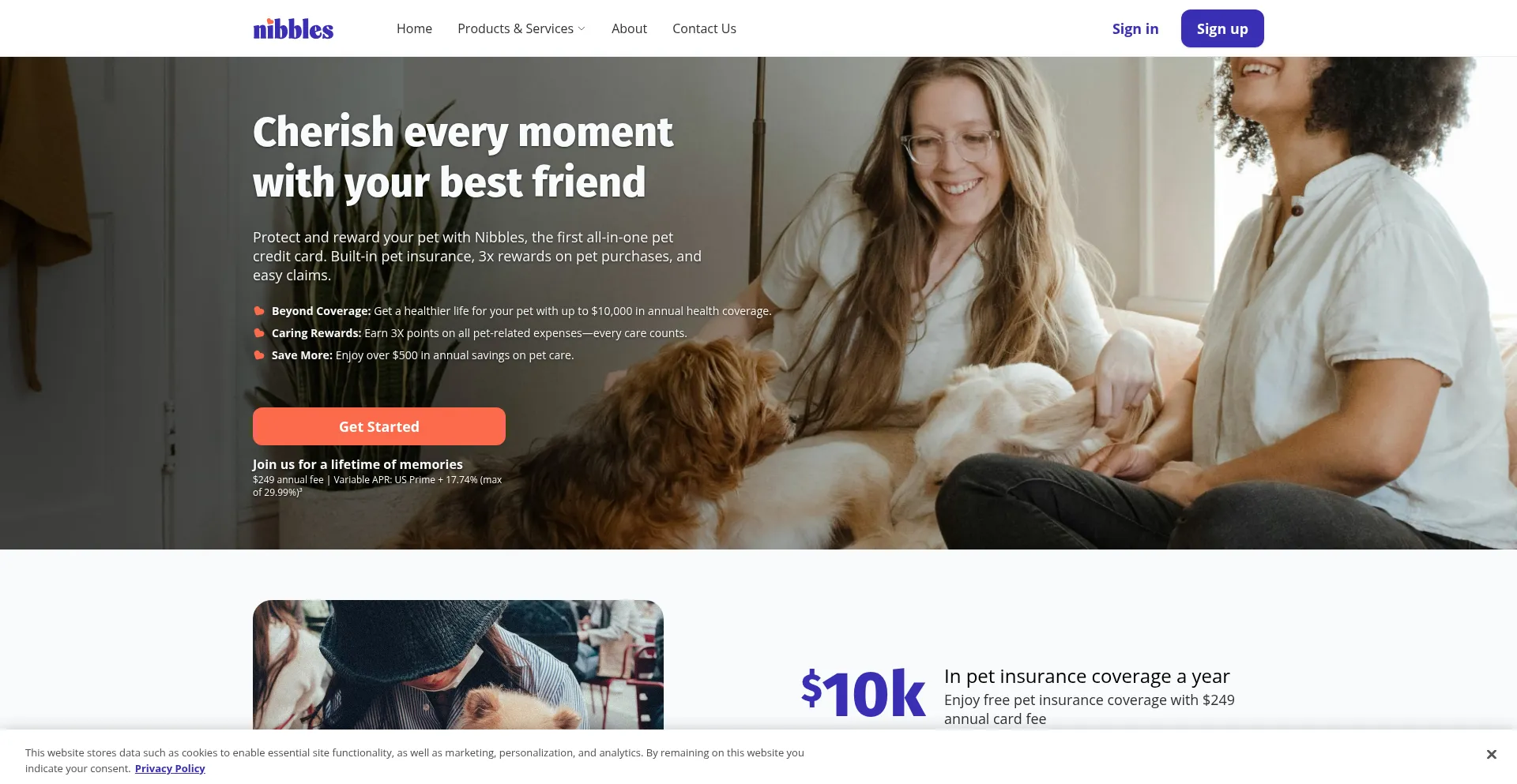 Website screenshot of Nibbles.com