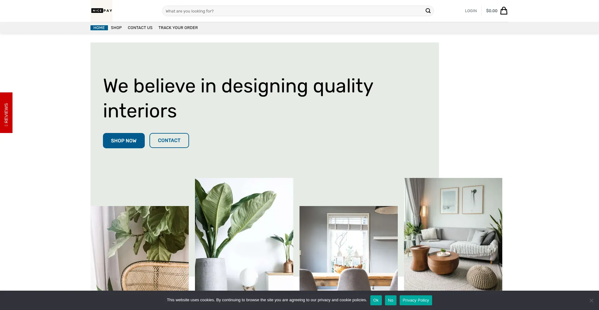Website screenshot of Nice-pay.com
