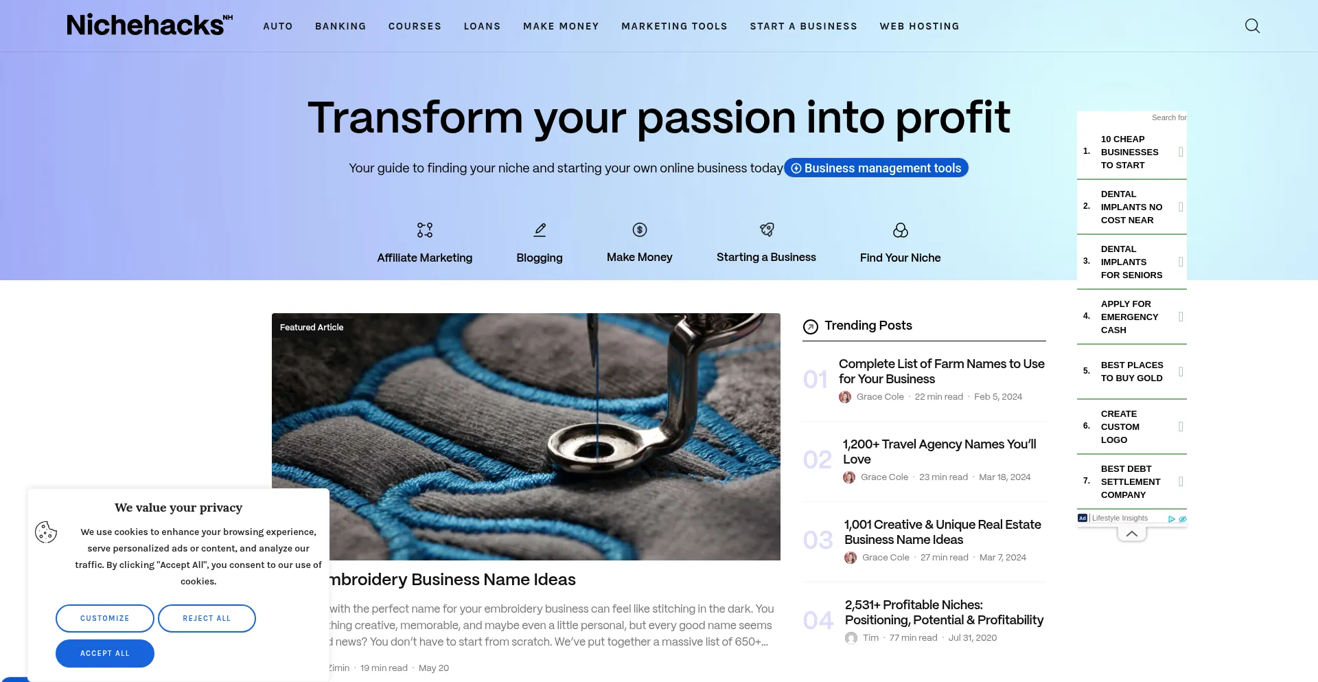 Website screenshot of Nichehacks.com