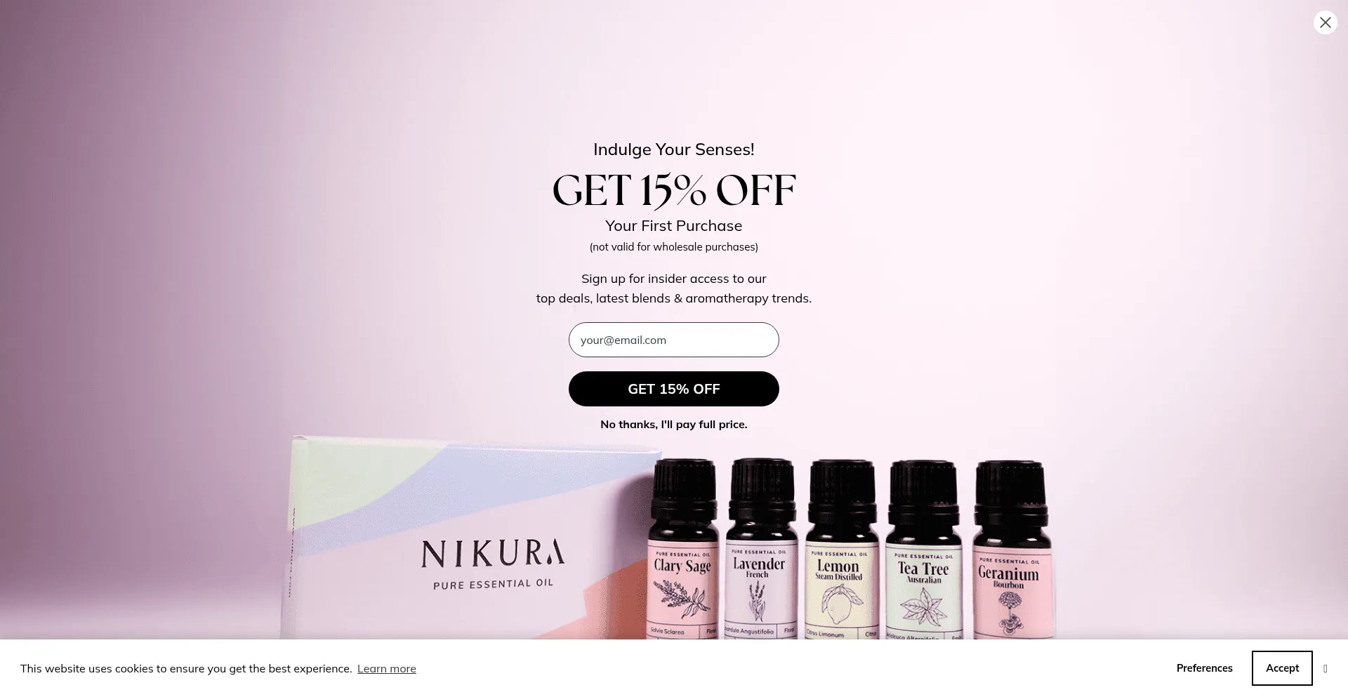 Website screenshot of Nikura.com