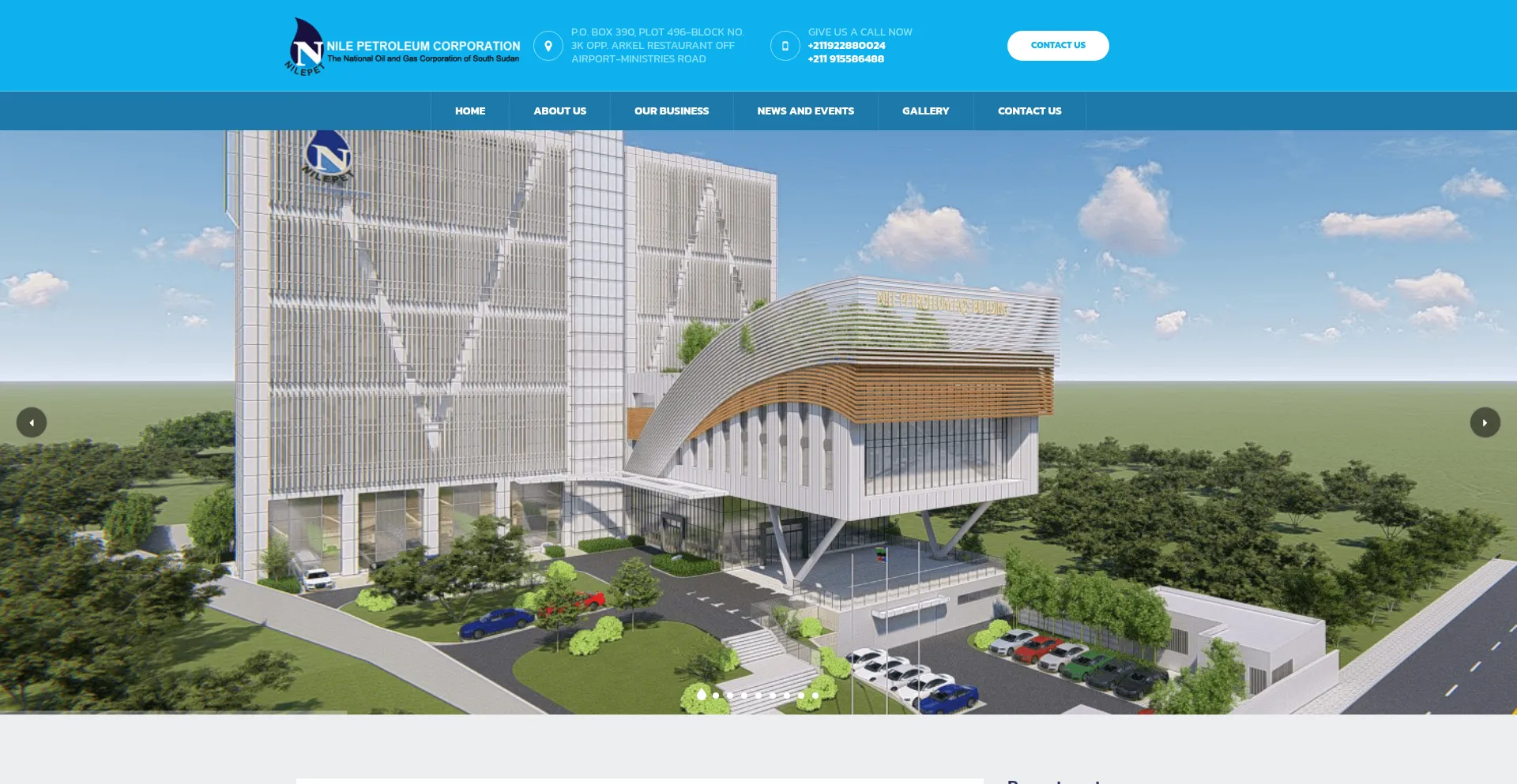 Website screenshot of Nilepet.com