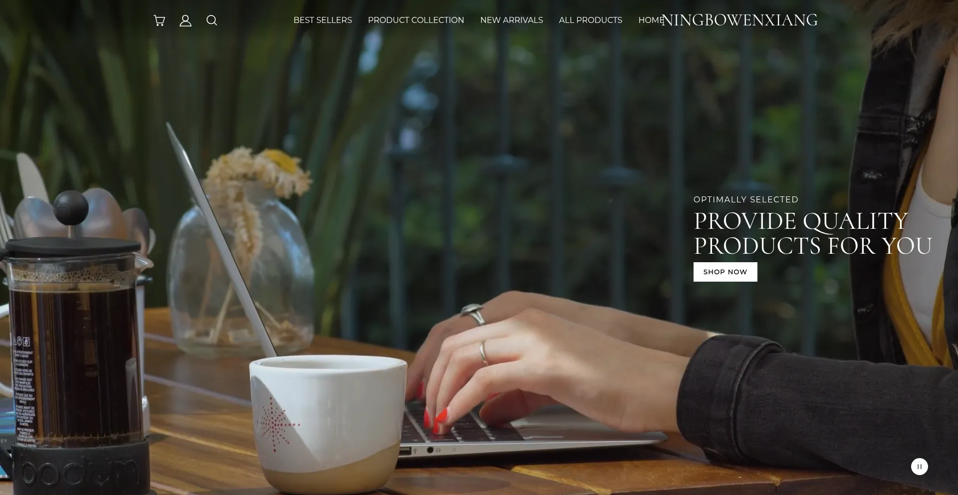 Website screenshot of Ningbowenxiangmy.com