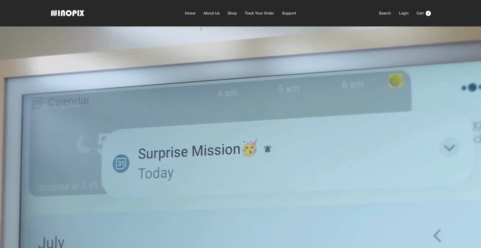 Website screenshot of Ninopixtv.com