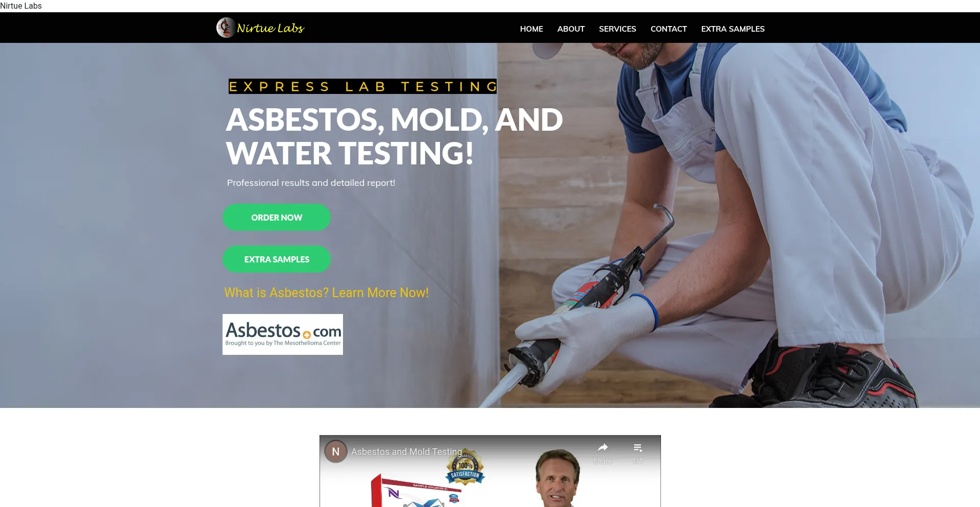 Website screenshot of Nirtuelabs.com