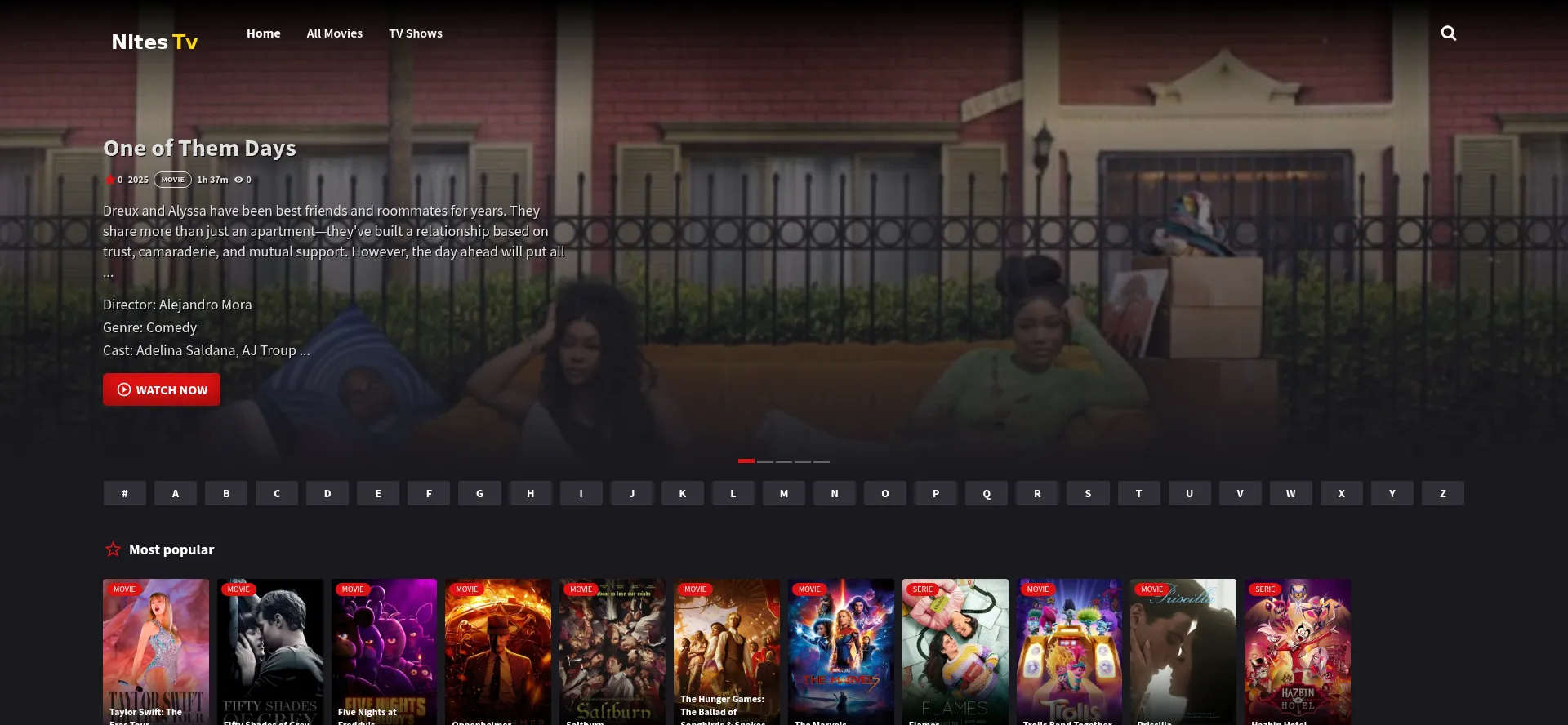 Website screenshot of Nitestv.online