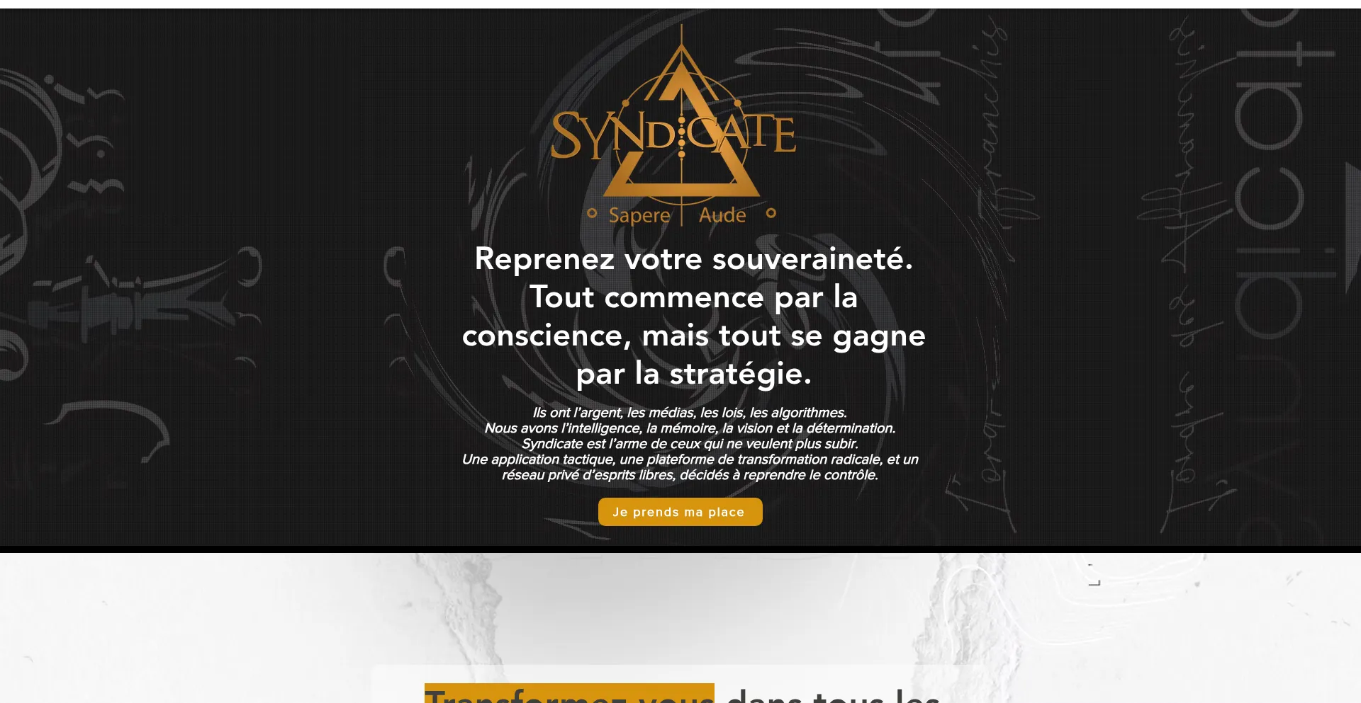 Website screenshot of Nlp-syndicate.com