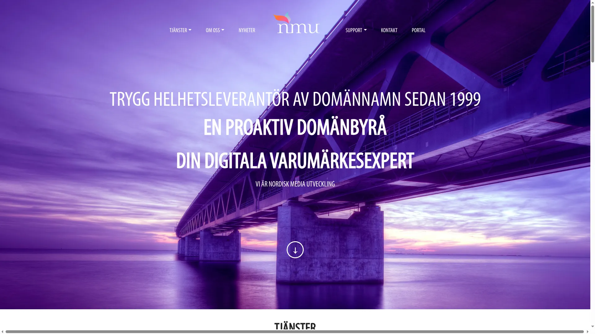 Nmugroup.se