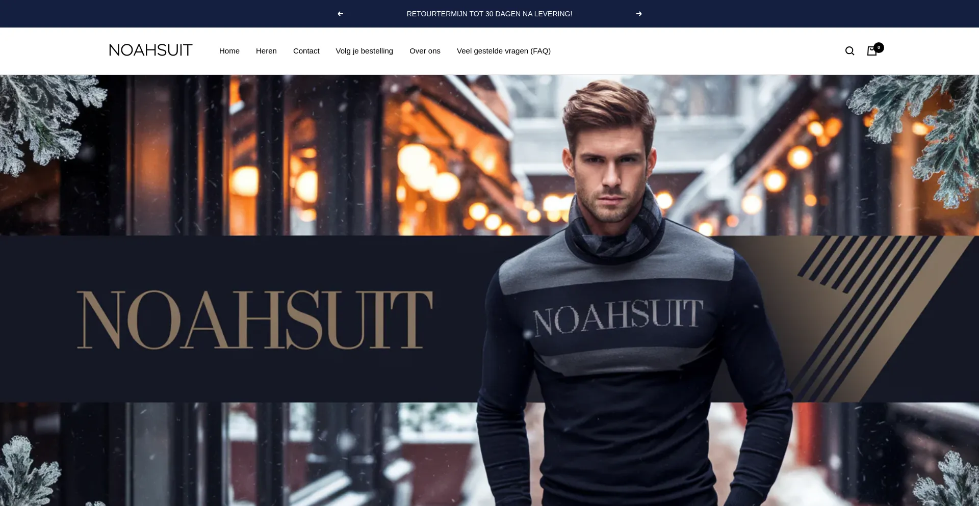 Website screenshot of Noahsuit.com