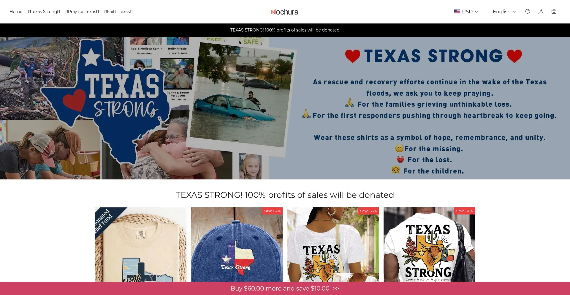 Website screenshot of Nochura.com
