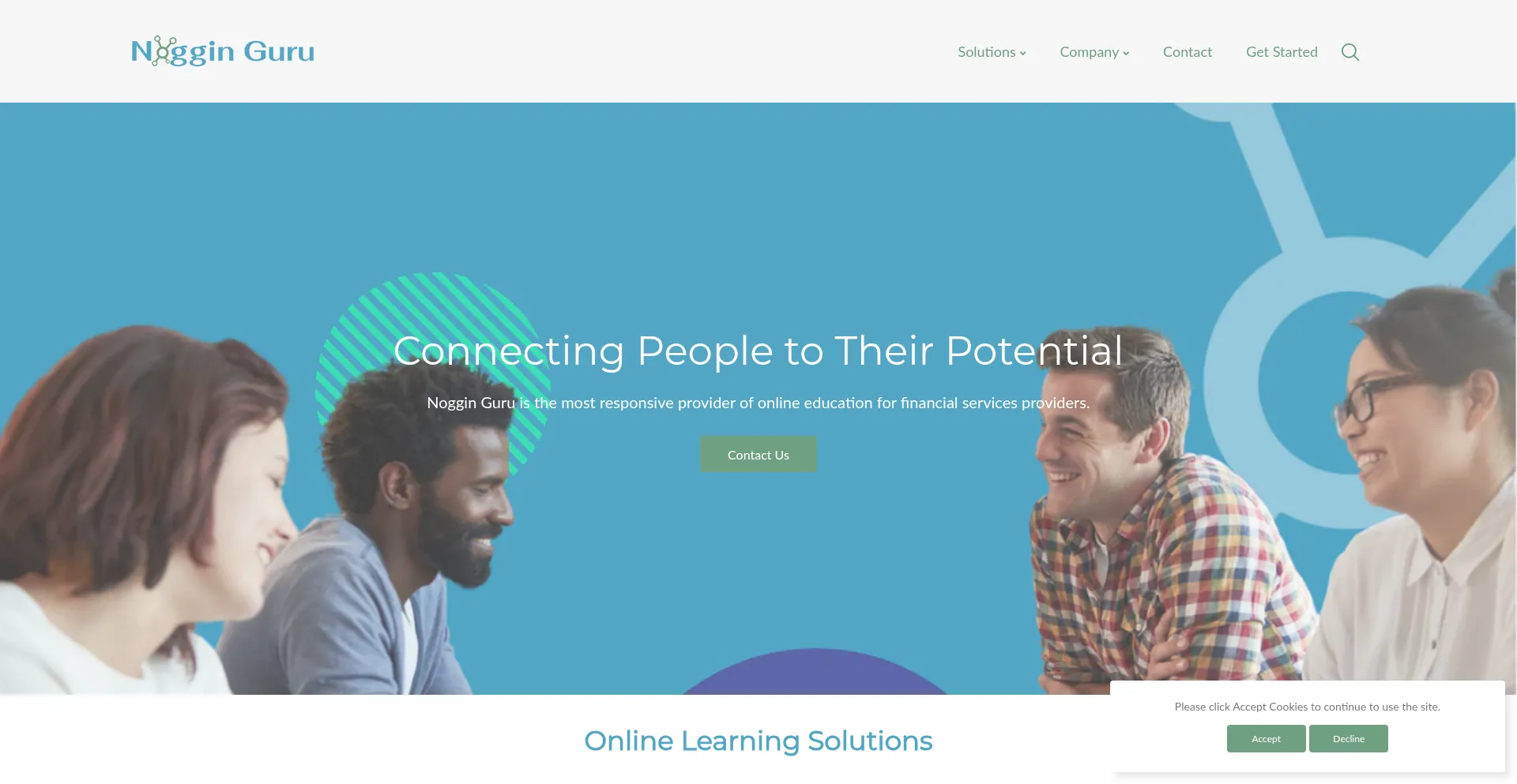 Website screenshot of Nogginguru.com