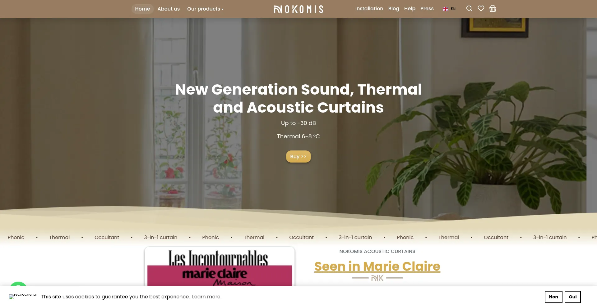 Website screenshot of Nokomis.eu