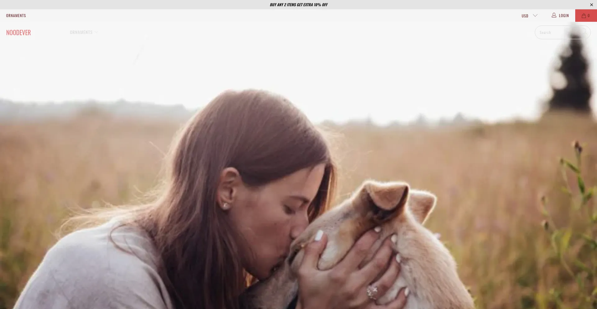 Noodever.com Screenshot