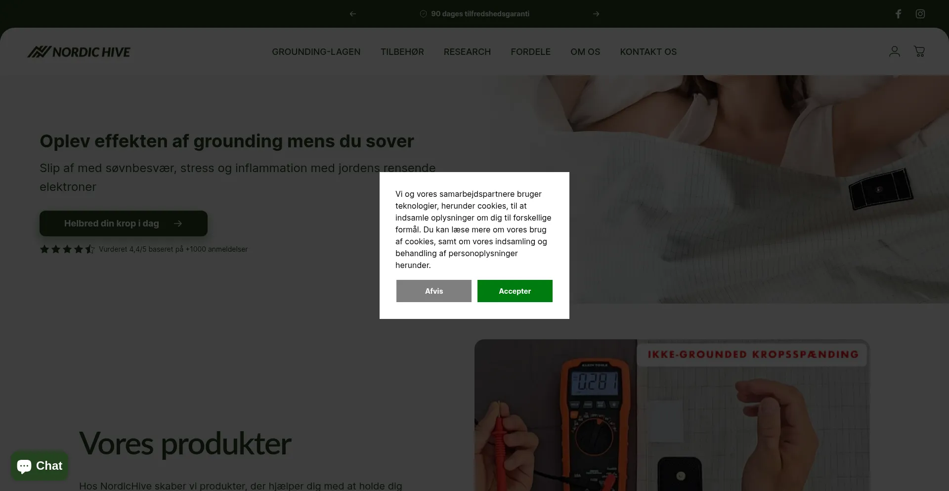 Website screenshot of Nordic-hive.com