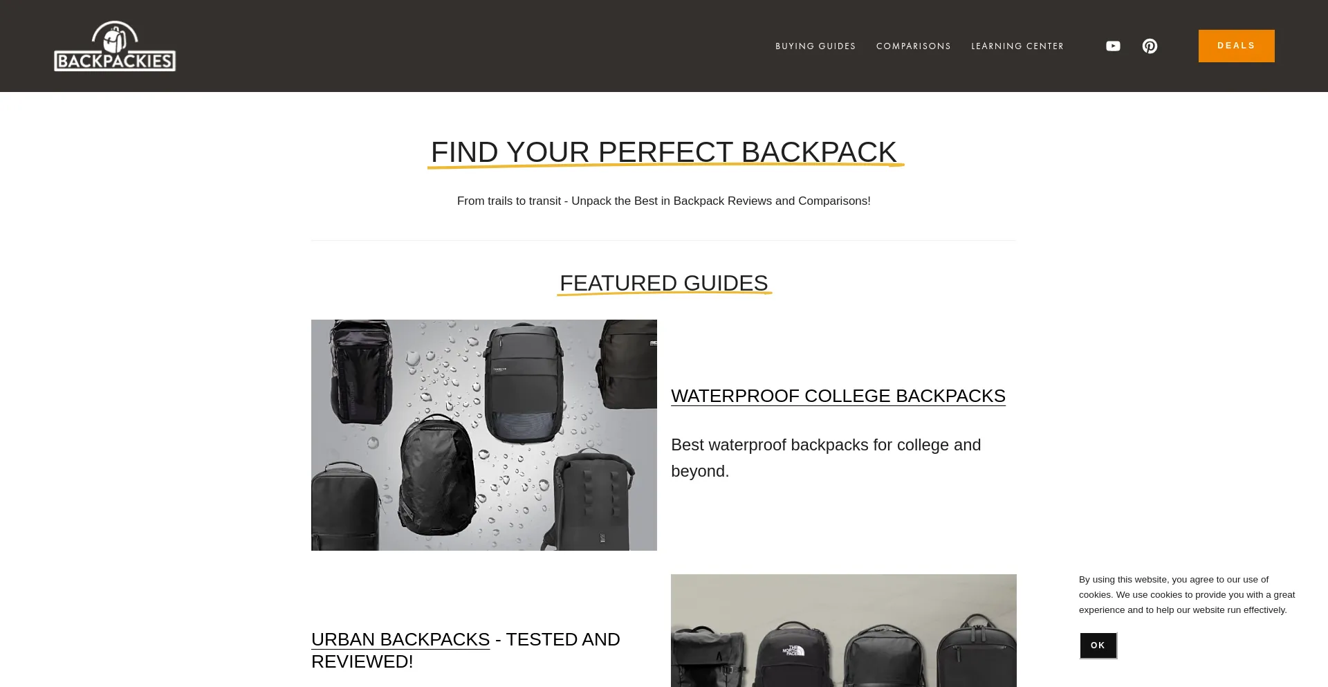Website screenshot of North-face.info