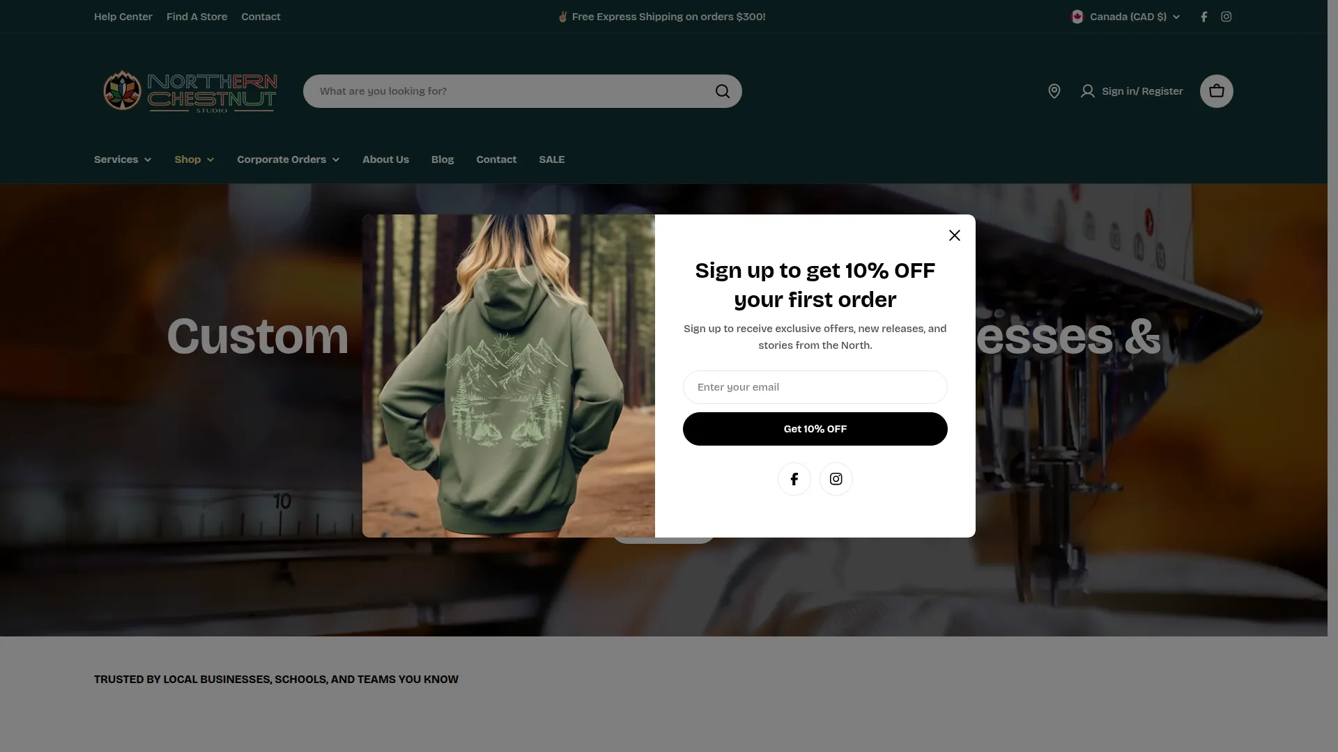 Northernchestnut.com