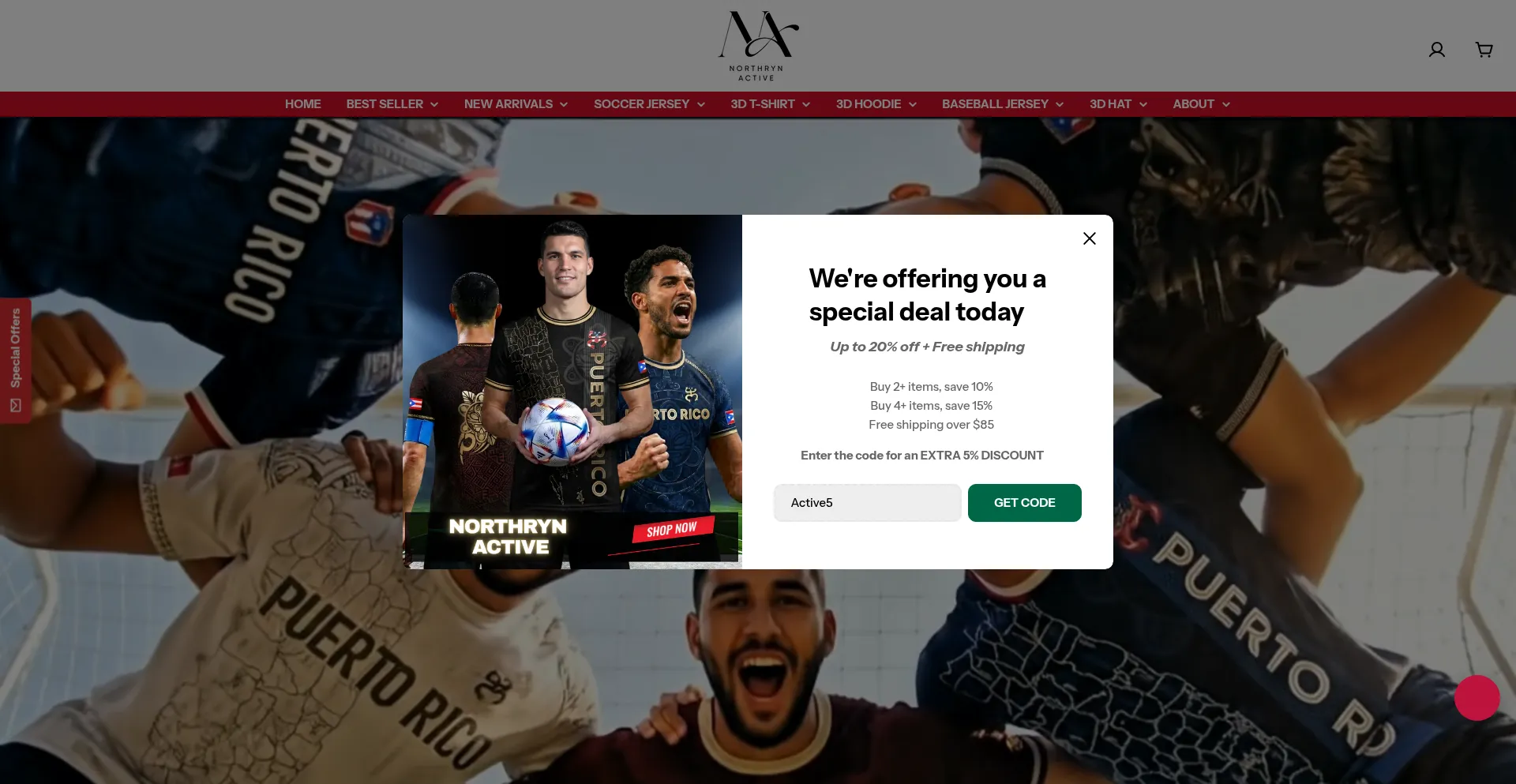 Northrynactive.com