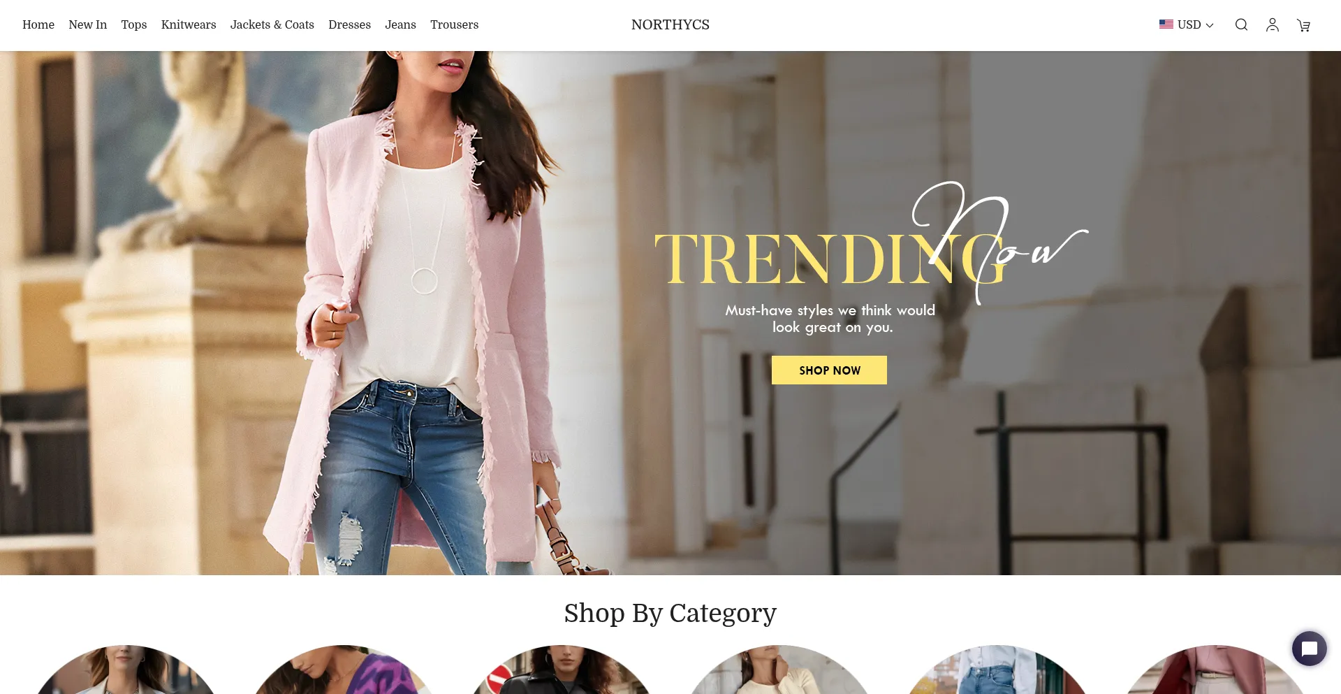 Website screenshot of Northycs.com