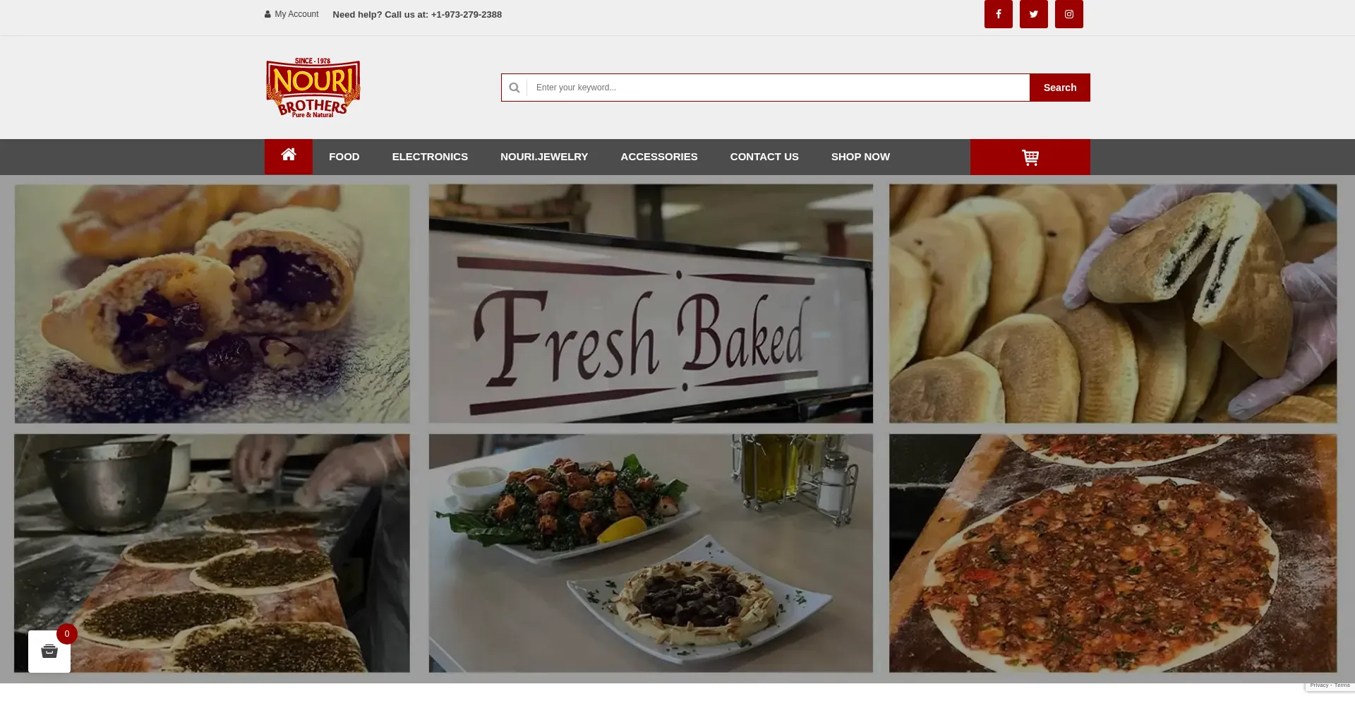 Website screenshot of Nouribrothers.com