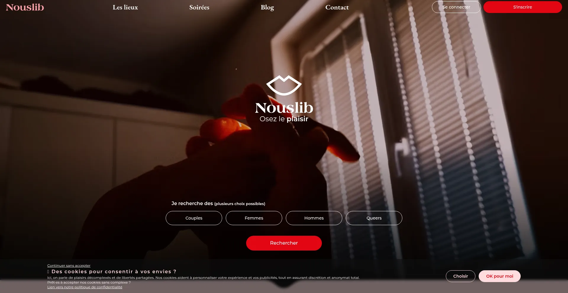 Website screenshot of Nouslib.com