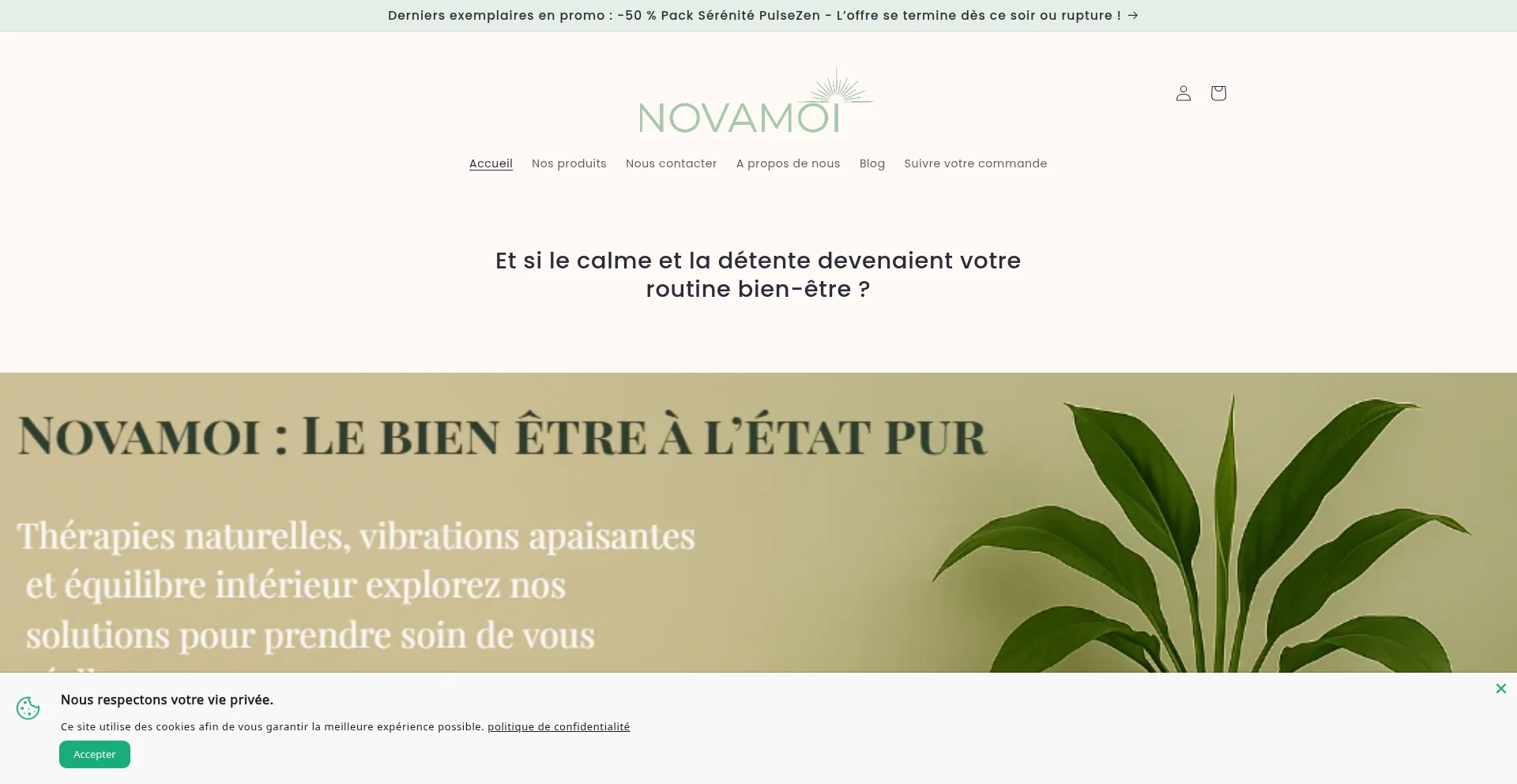 Website screenshot of Novamoi.com