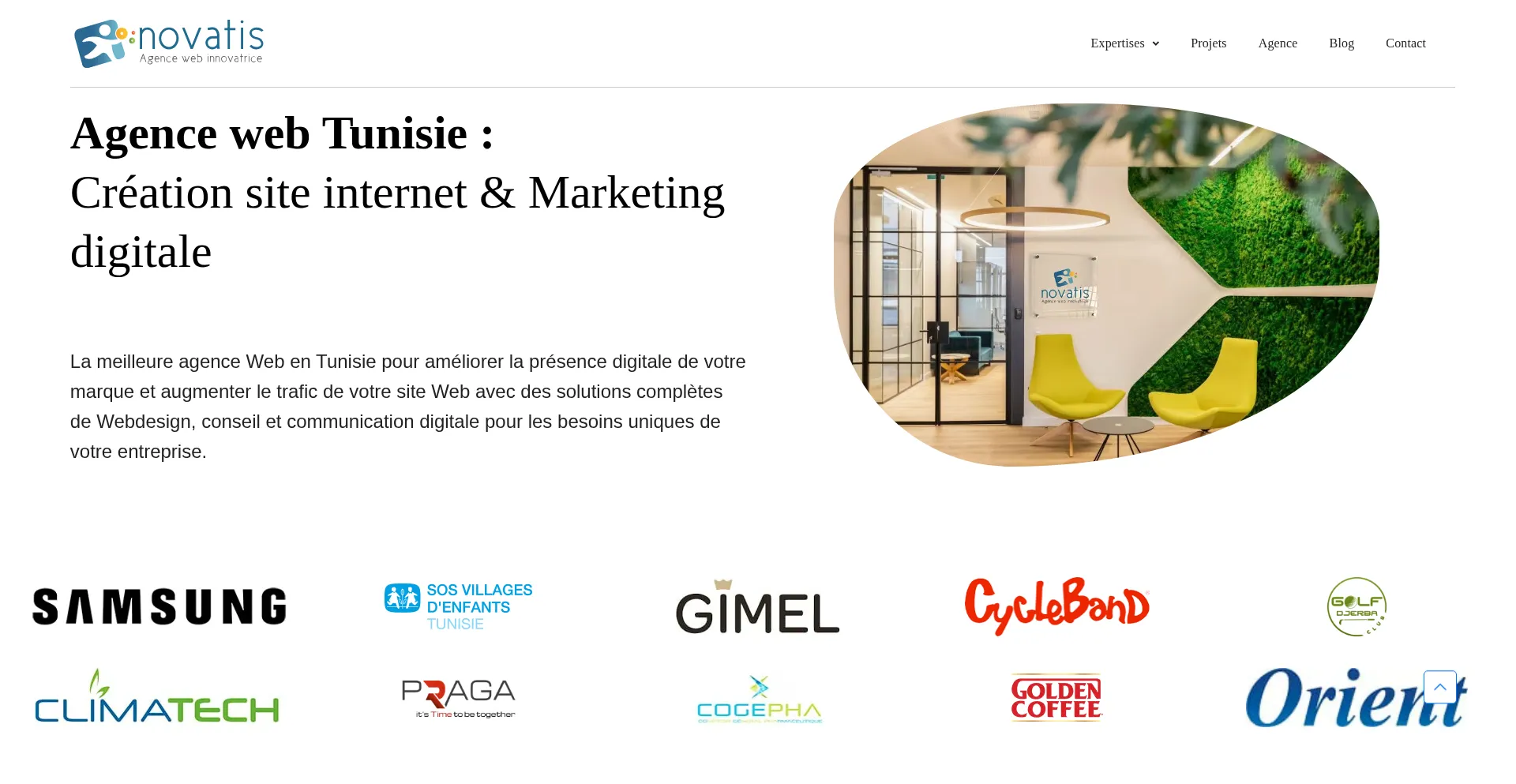 Website screenshot of Novatis.tn