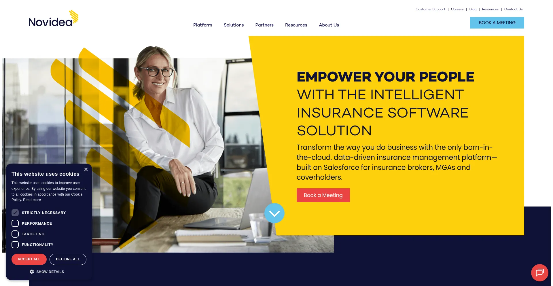Website screenshot of Novidea.com