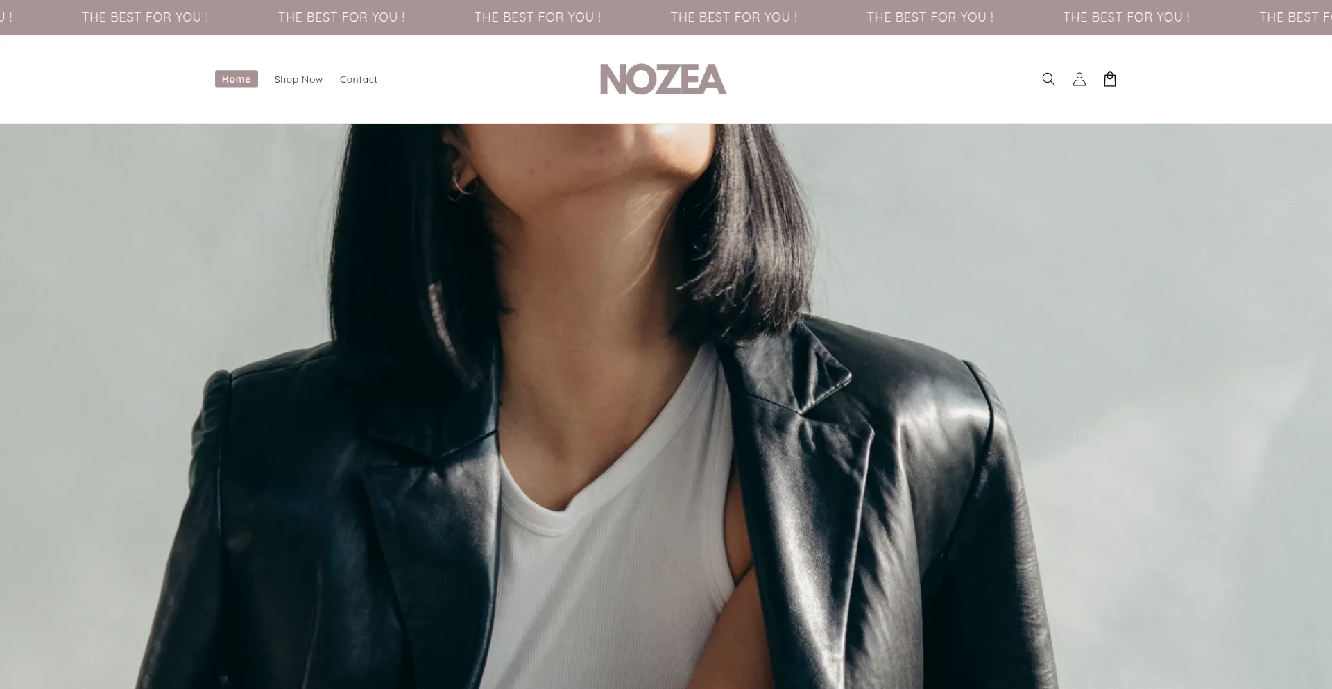 Website screenshot of Nozea.shop