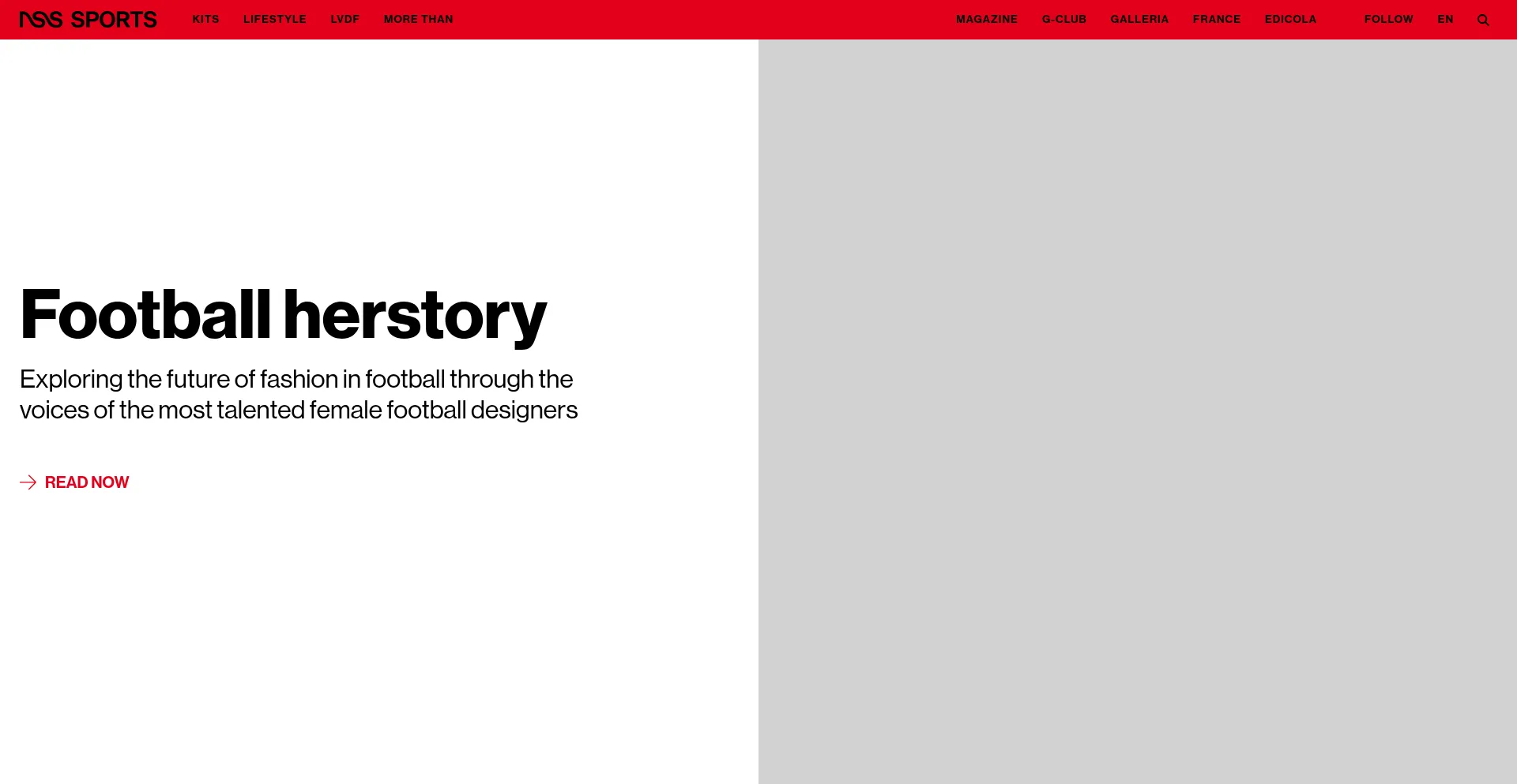 Website screenshot of Nss-sports.com