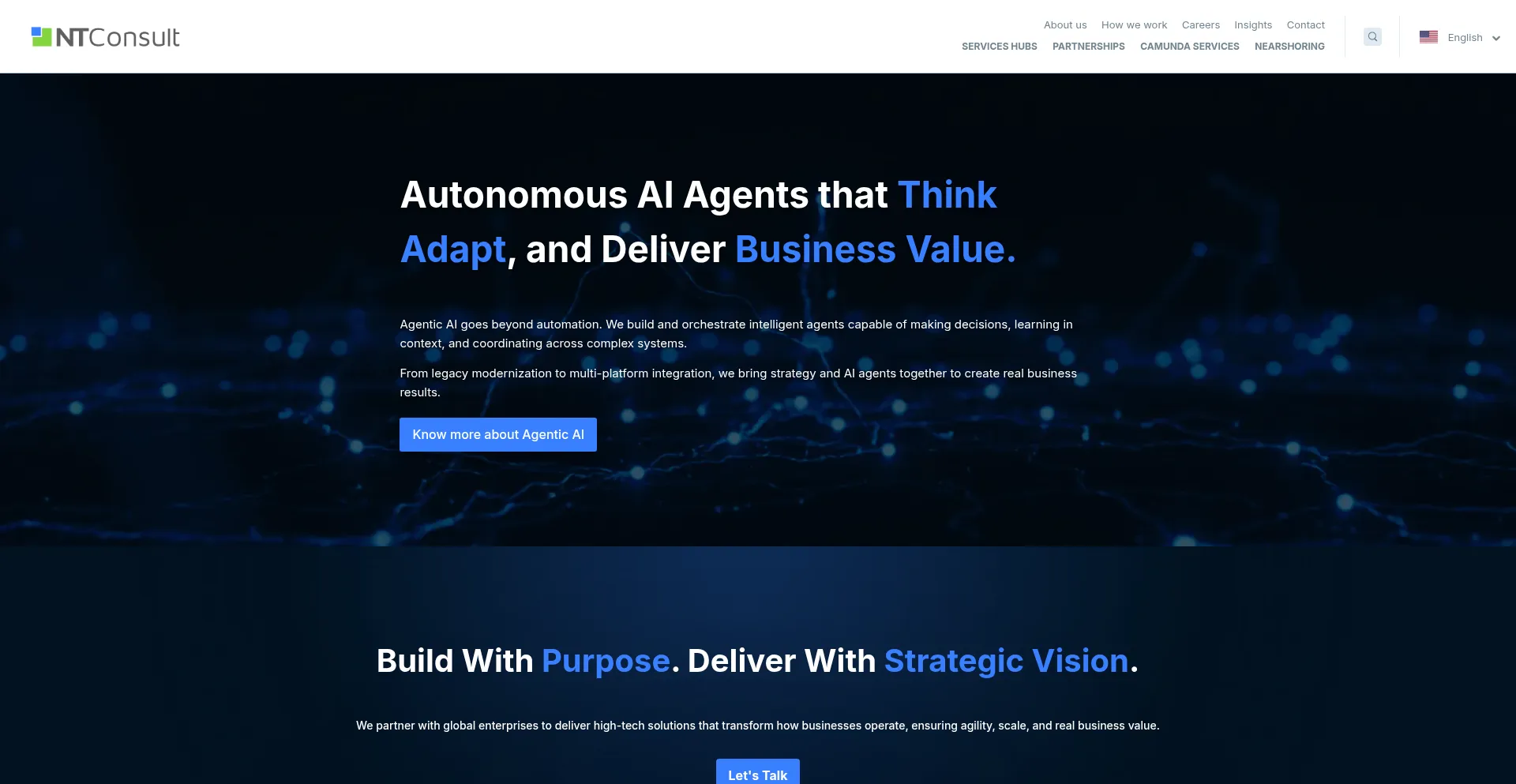Website screenshot of Ntconsultcorp.com
