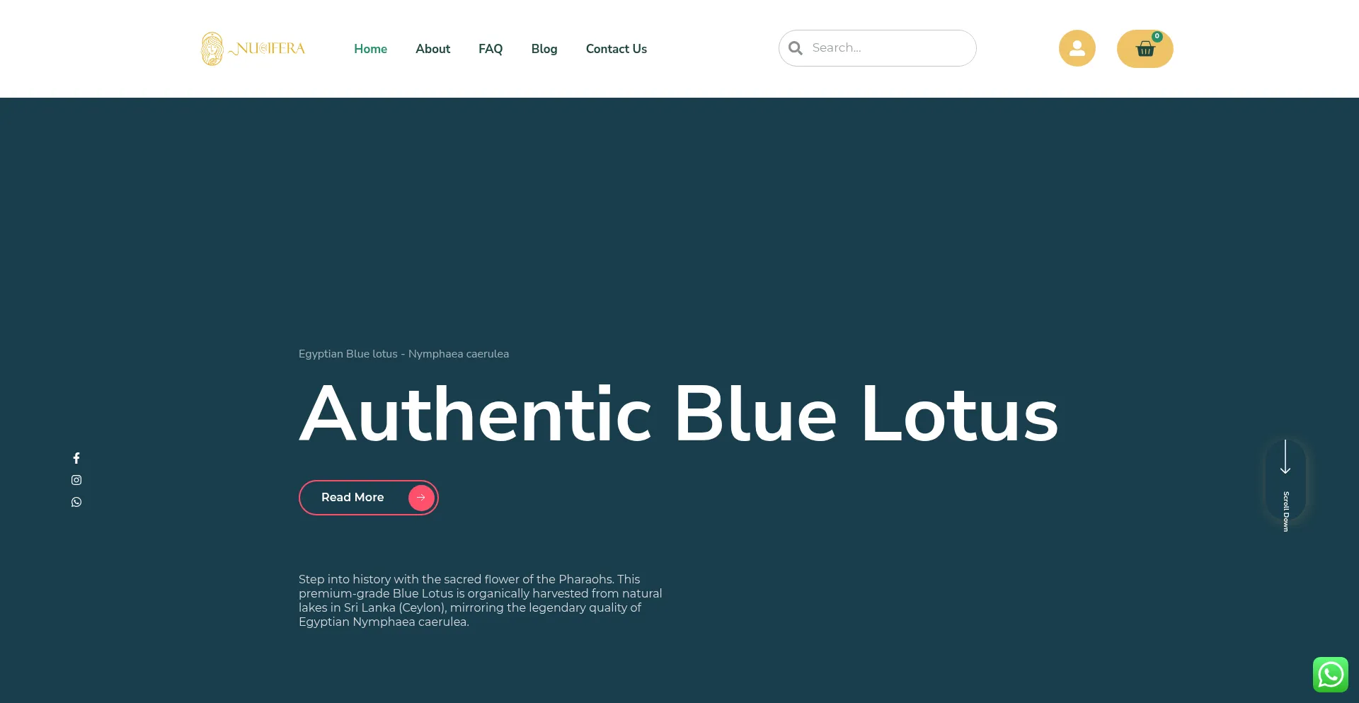 Website screenshot of Nuciferaherbs.com