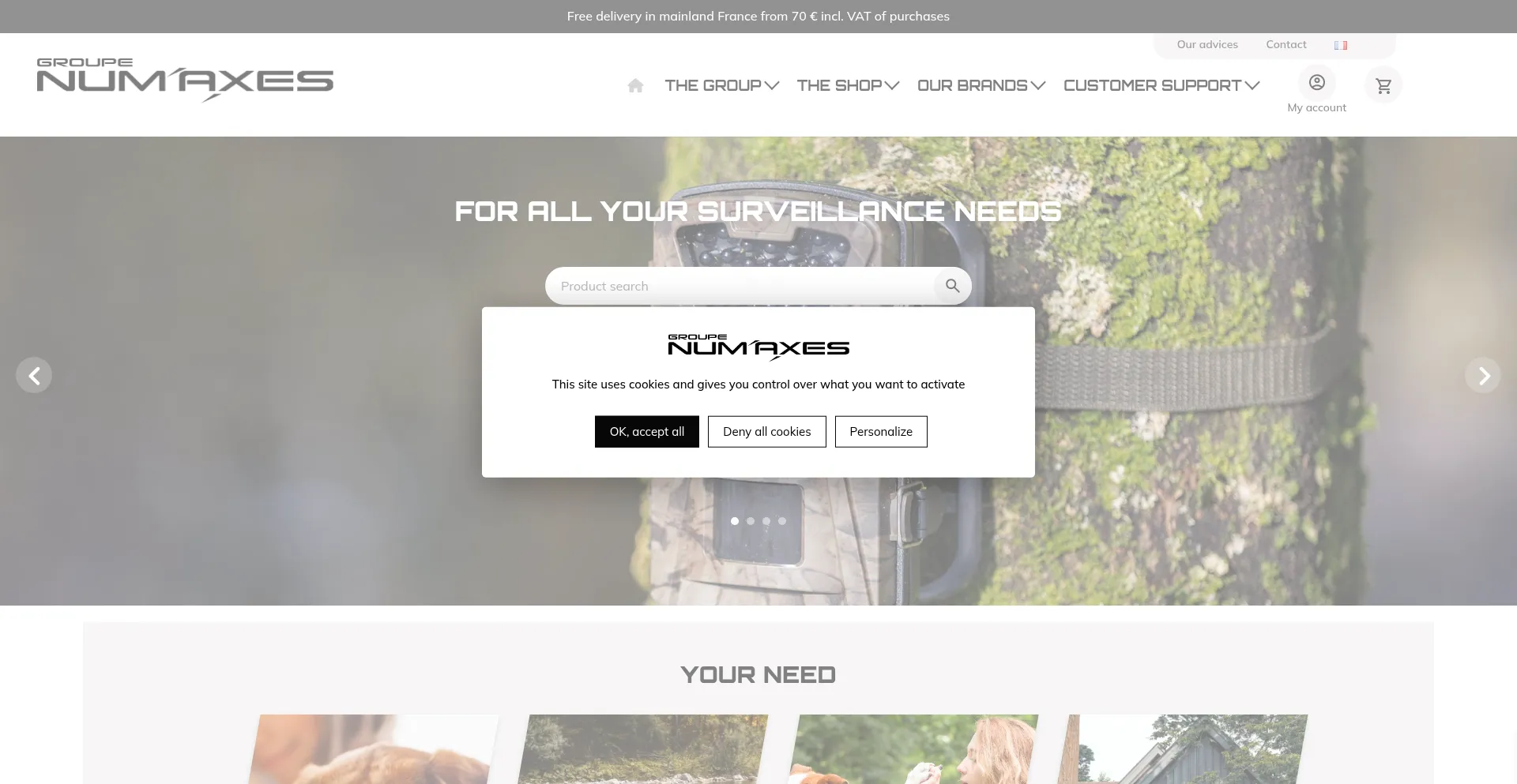 Website screenshot of Numaxes.com