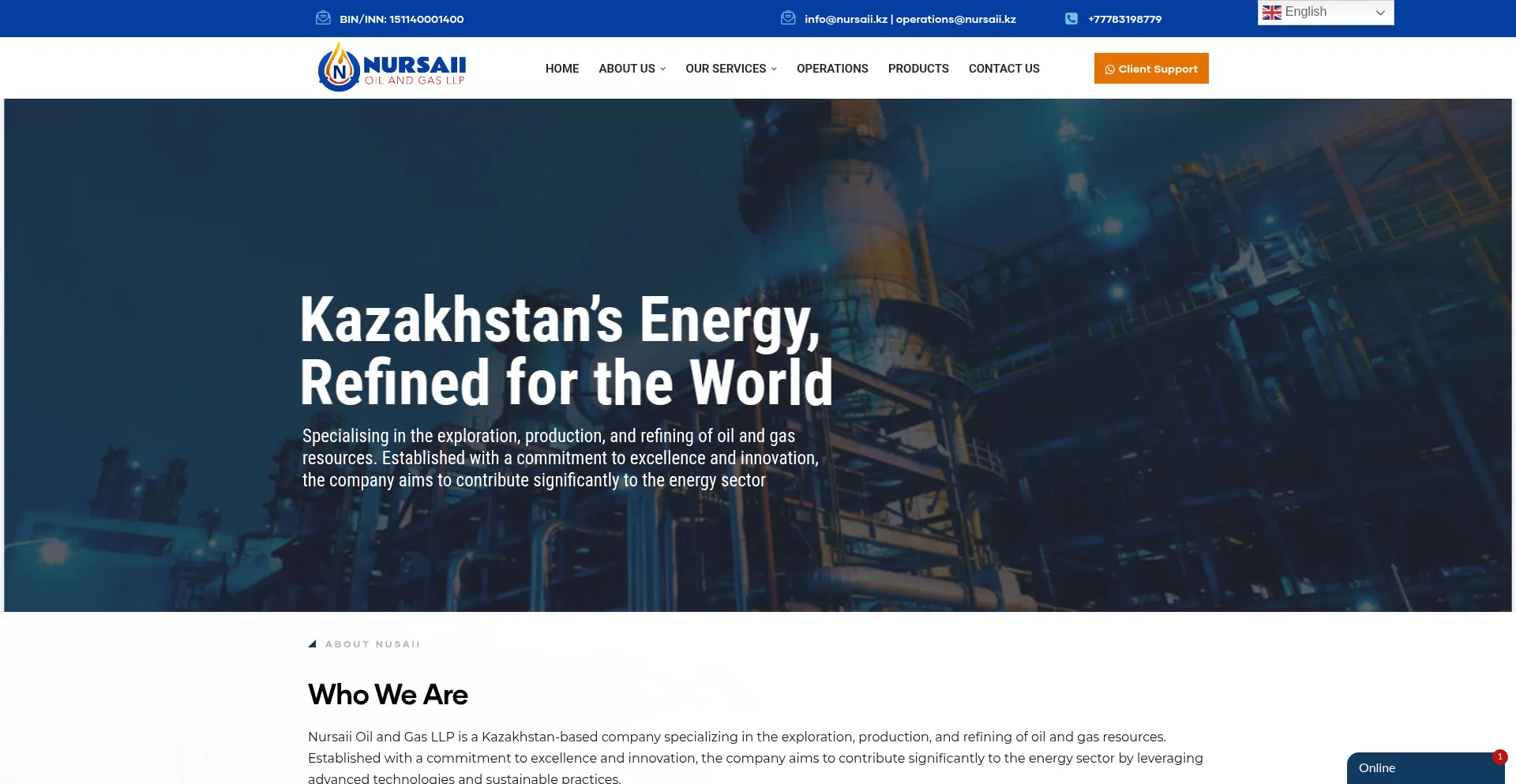 Website screenshot of Nursaii.kz