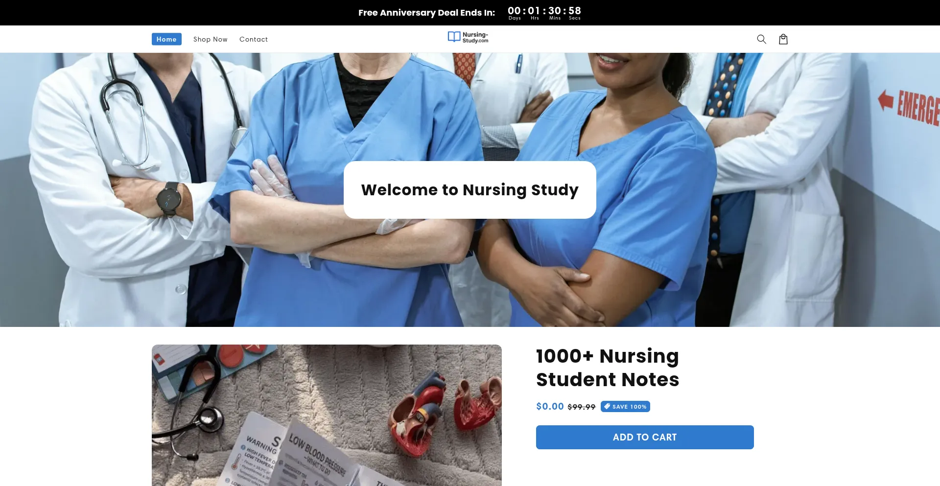 Website screenshot of Nursing-study.com