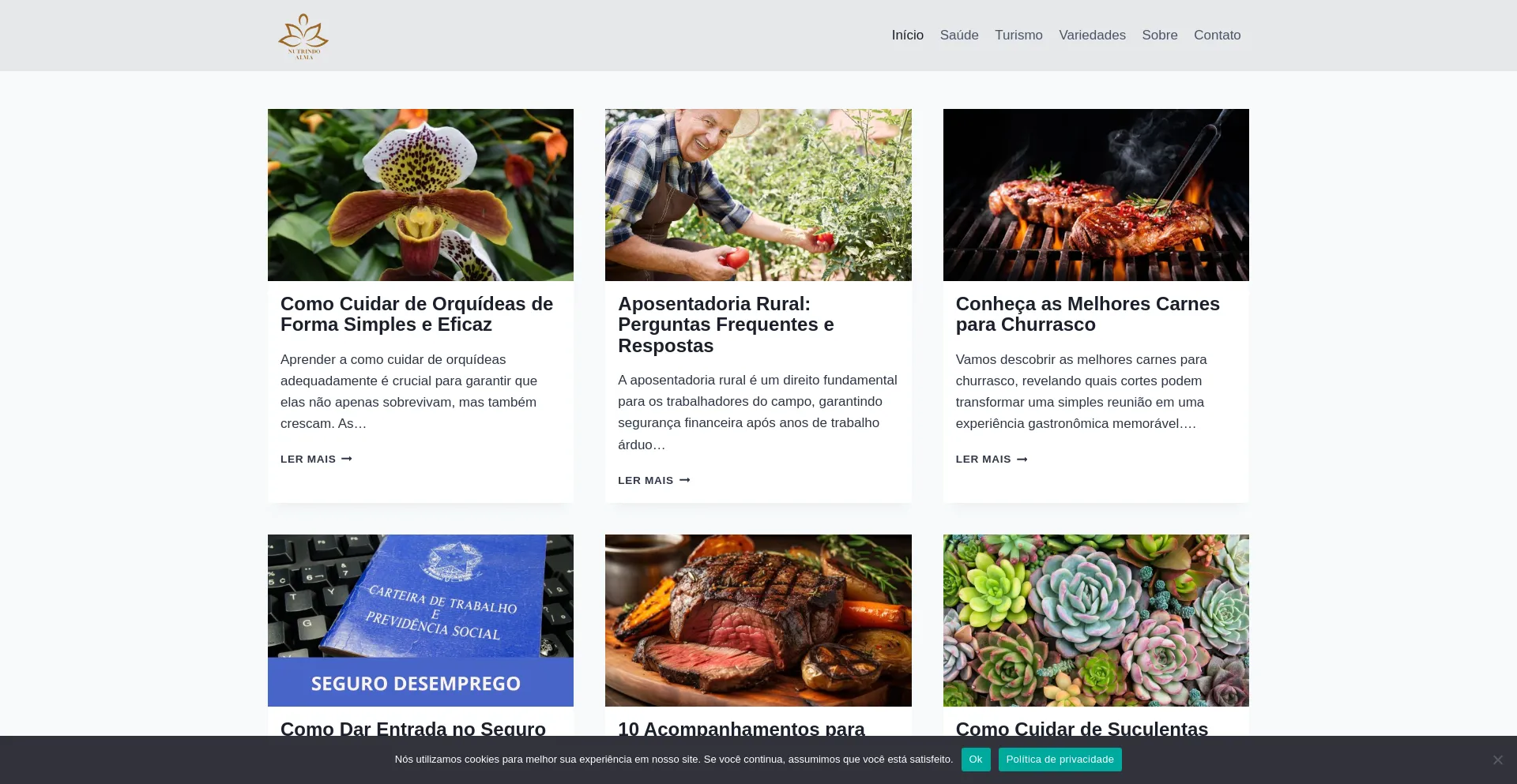 Website screenshot of Nutrindoalma.com