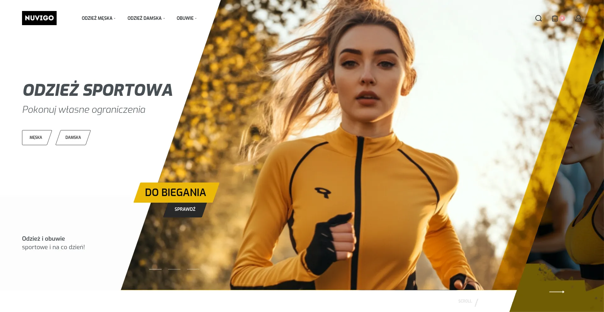 Nuvigo.pl Screenshot
