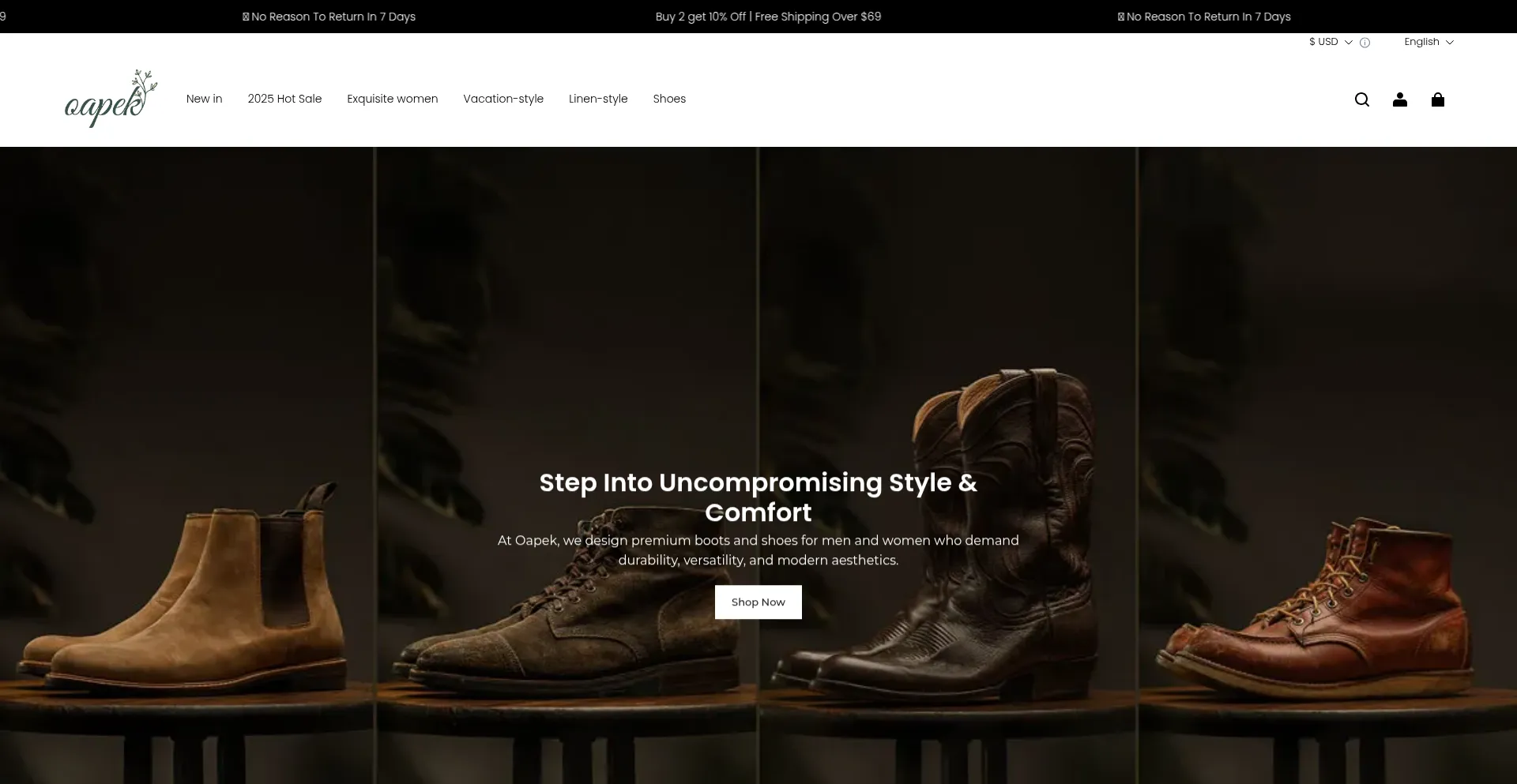 Website screenshot of Oapek.com